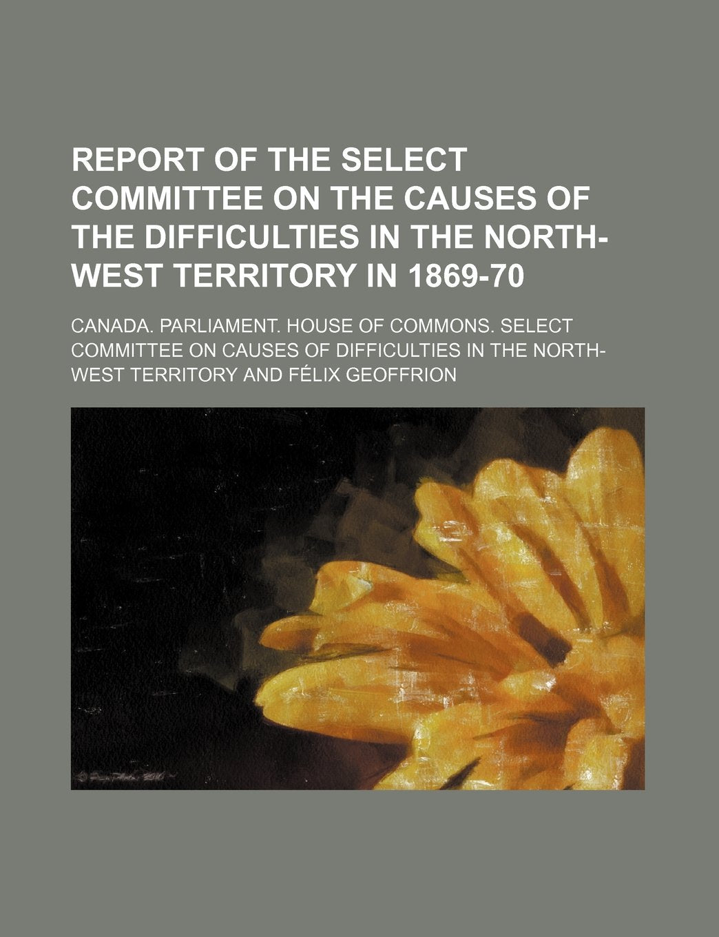 Report of the Select Committee on the Causes of the Difficulties in the North-West Territory in 1869-70 Books