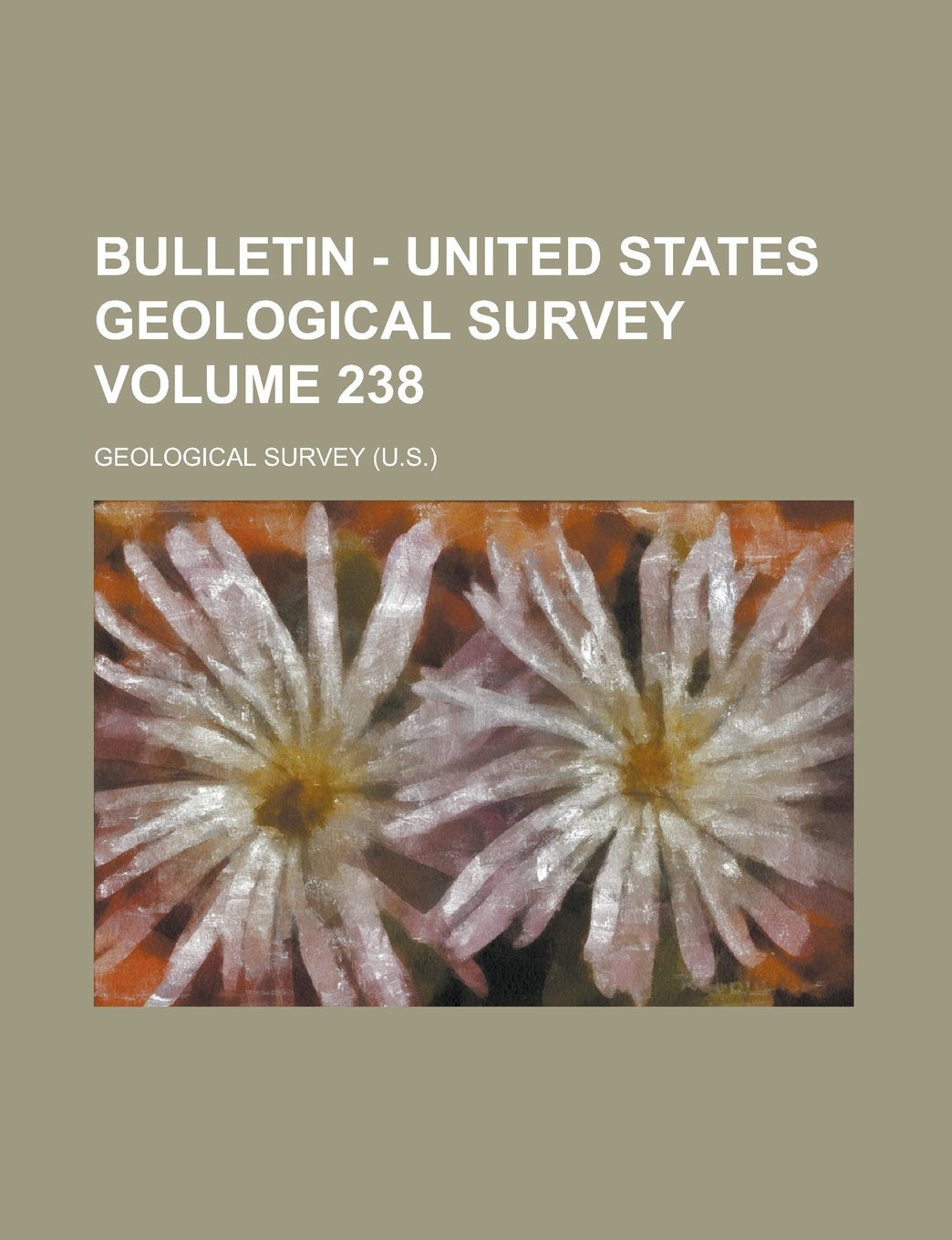 Bulletin - United States Geological Survey Volume 238 Books