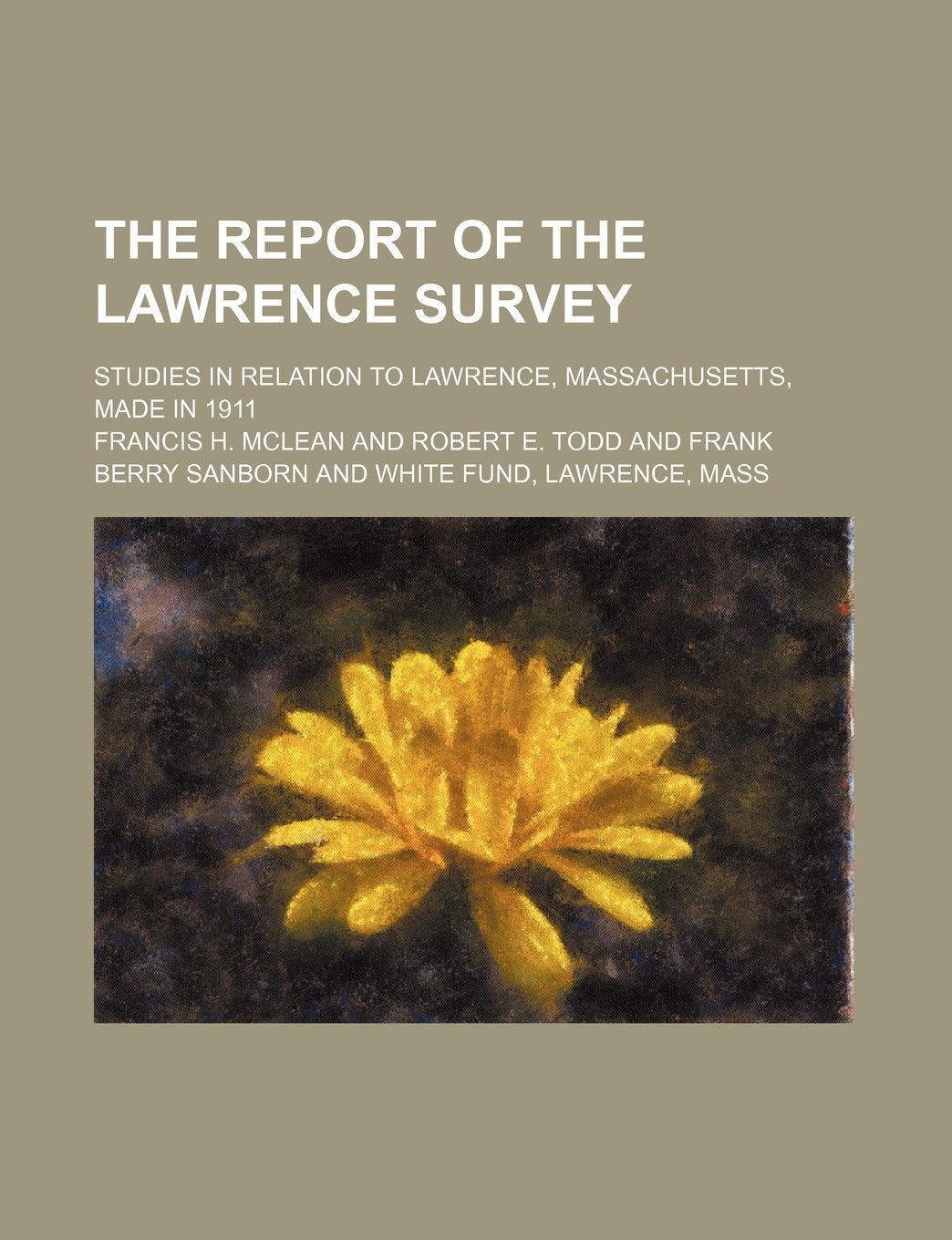 The Report of the Lawrence Survey; Studies in Relation to Lawrence, Massachusetts, Made in 1911 Books
