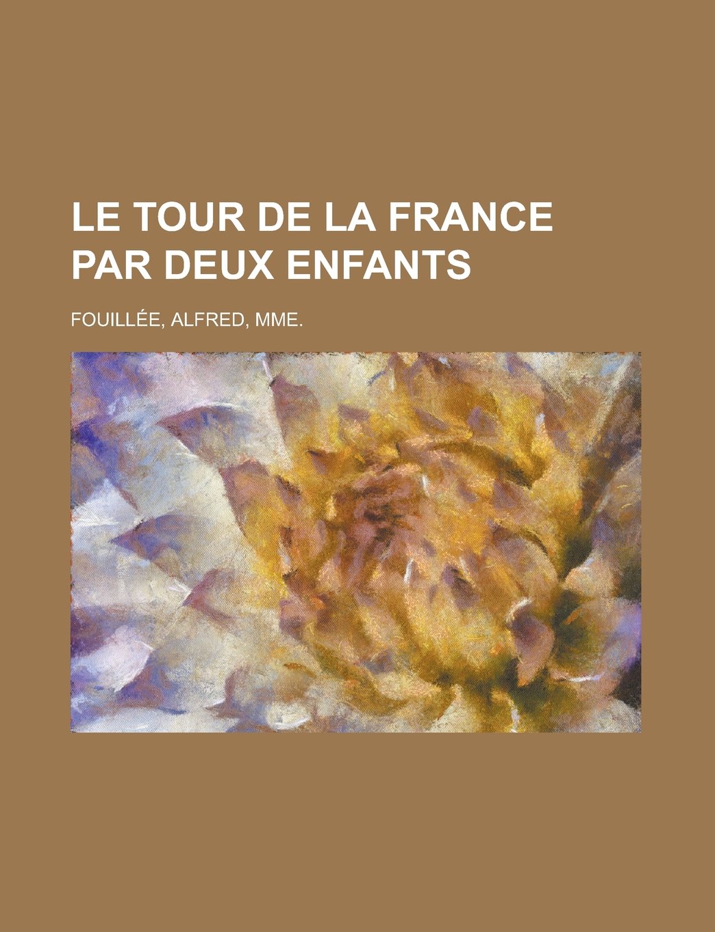 Le Tour de la France Par Deux Enfants book