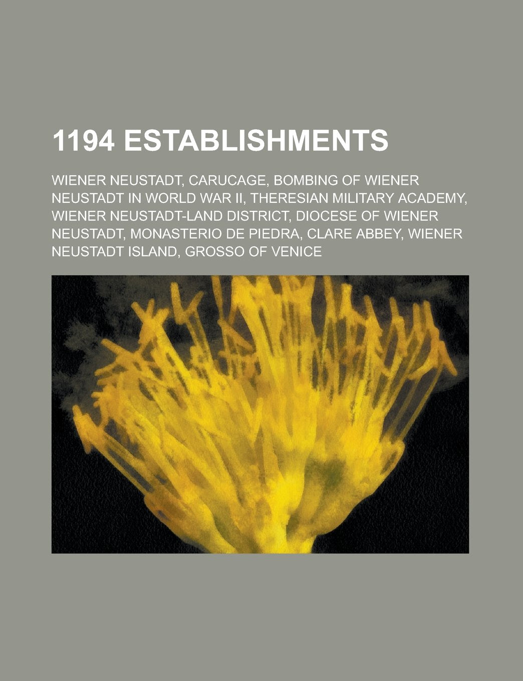 1194 Establishments: Carucage, Wiener Neustadt, Monasterio de Piedra, Clare Abbey, Grosso of Venice, book