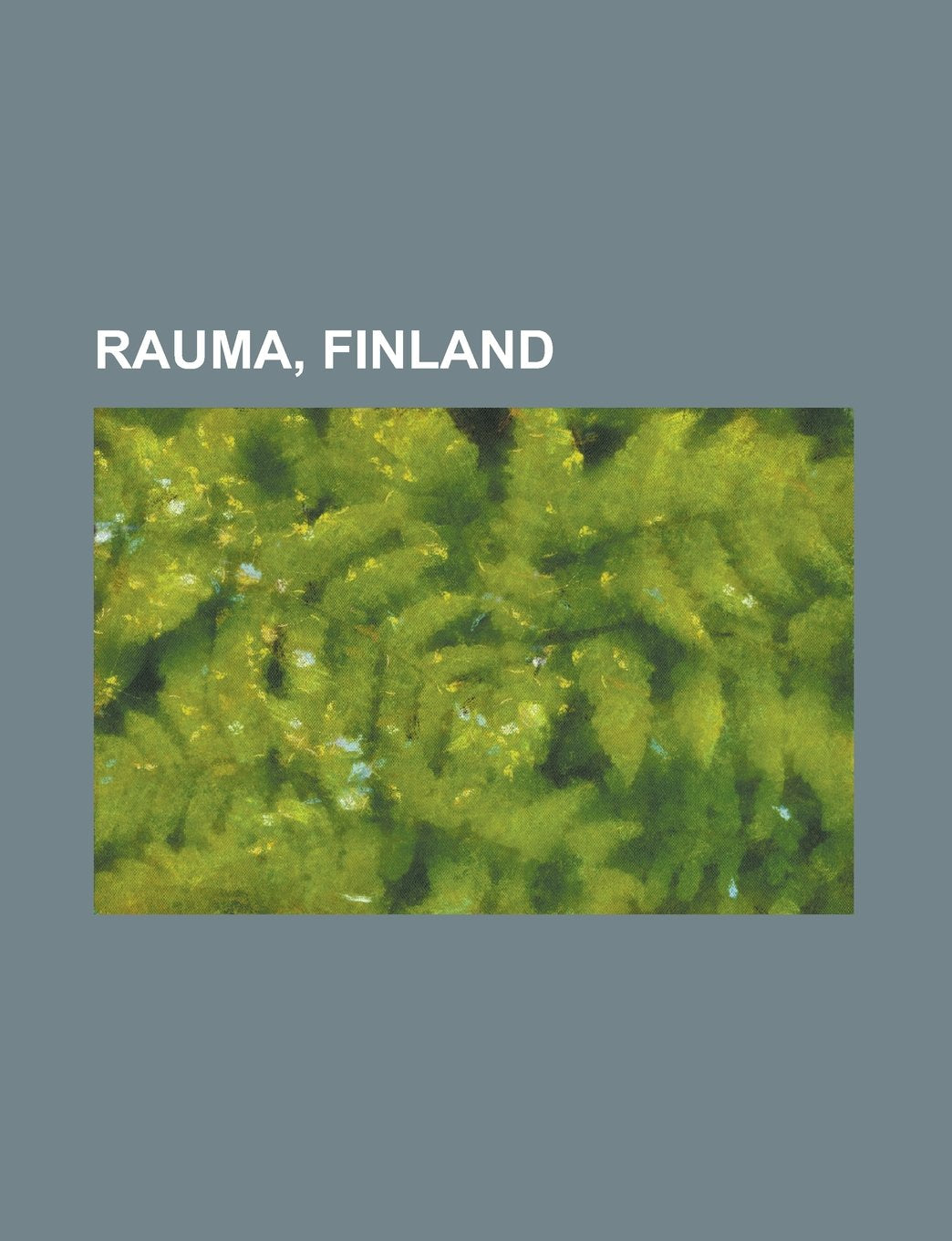Rauma, Finland: Old Rauma, Sammallahdenmki, Rauma Dialect, Pallo-Iirot, Lukko, Lappi, Finland, Kodisjoki, Rauman Maalaiskunta, Ijnsuo Books