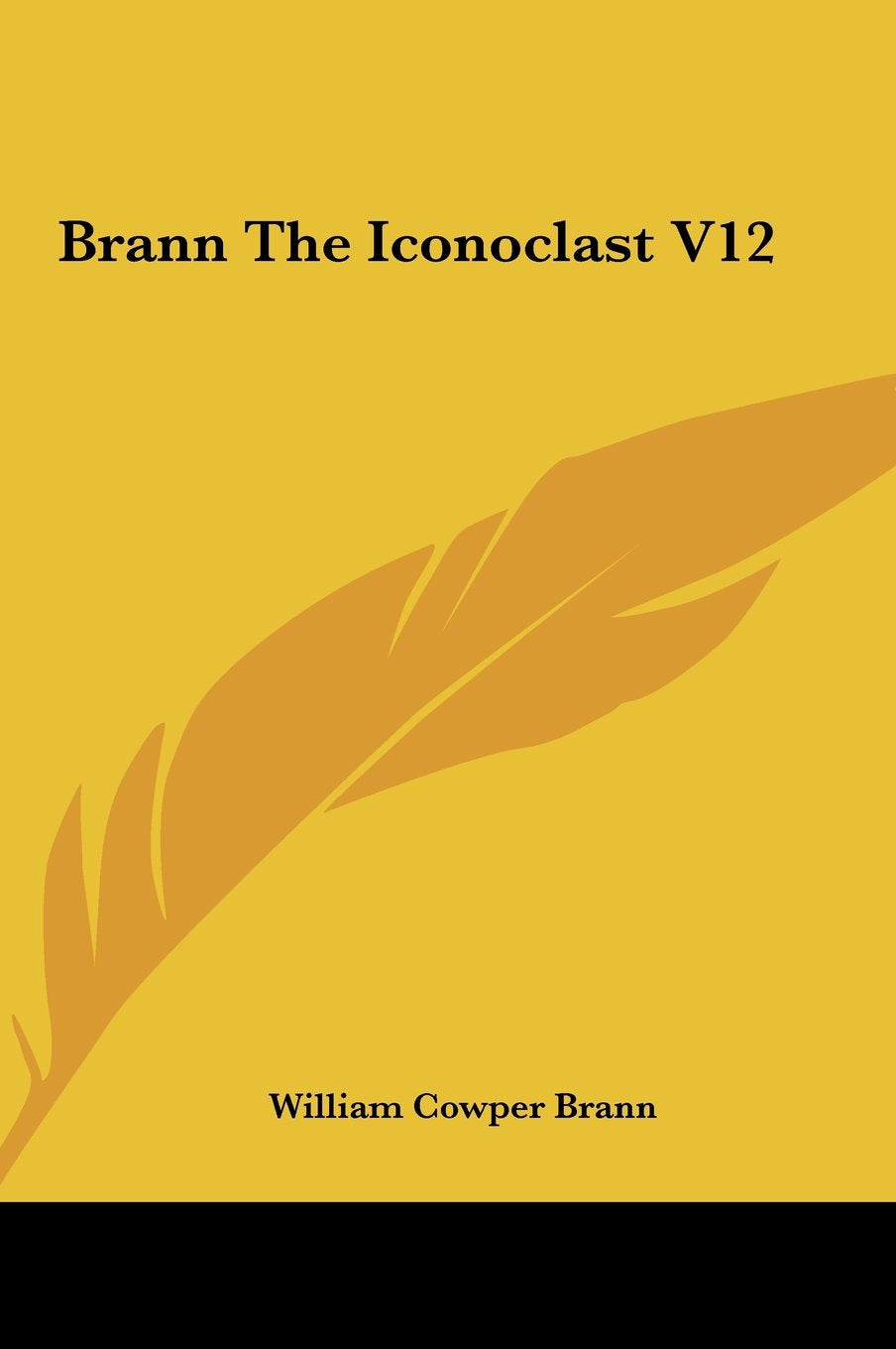 Brann The Iconoclast V12 Books