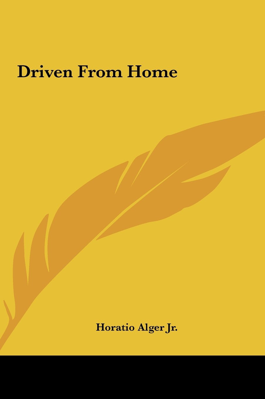 Driven from Home Contemporary literature