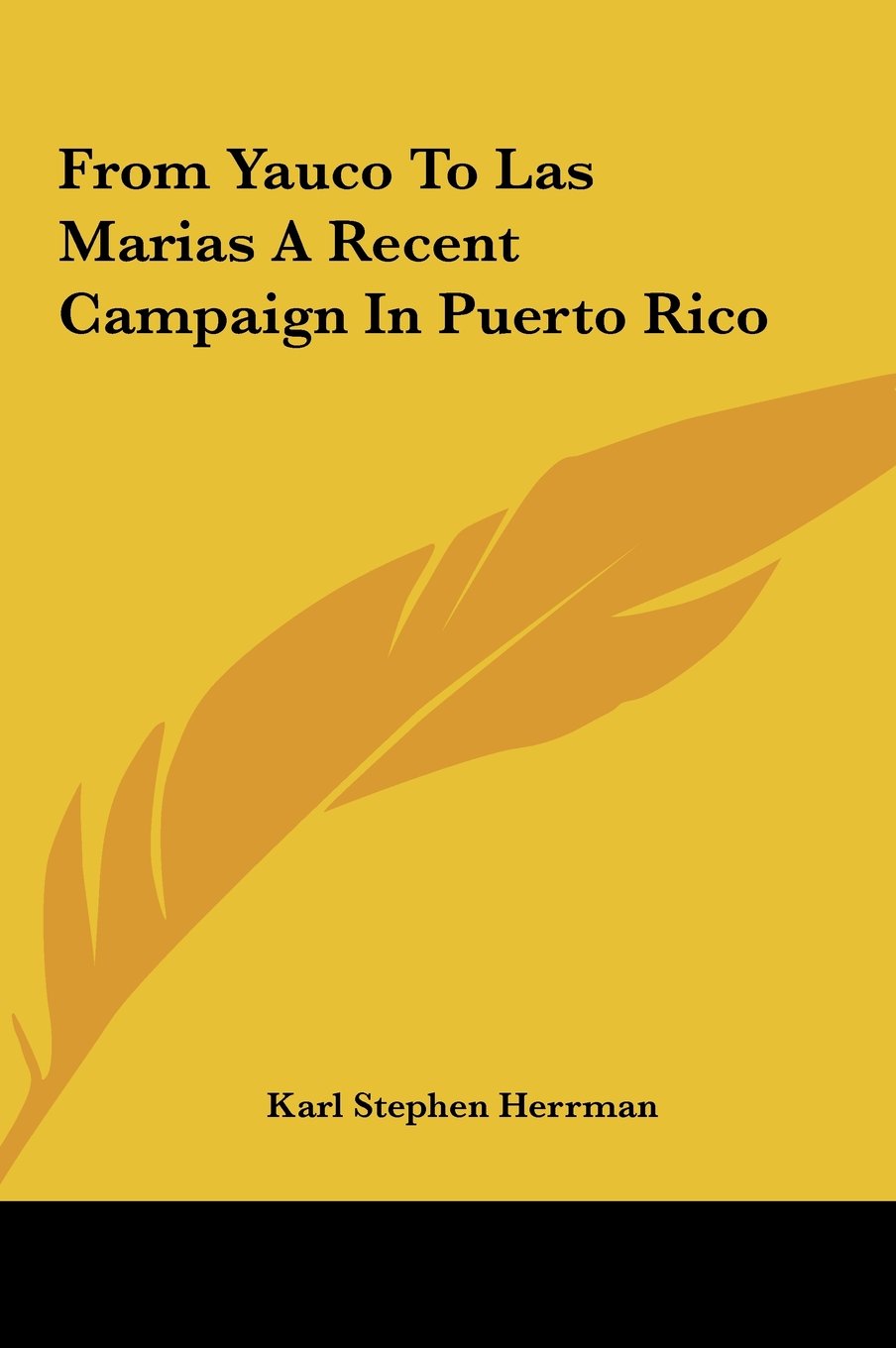 From Yauco To Las Marias A Recent Campaign In Puerto Rico Politics & History