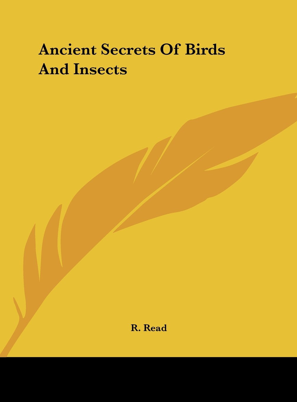 Product Image: Ancient Secrets Of Birds And Insects