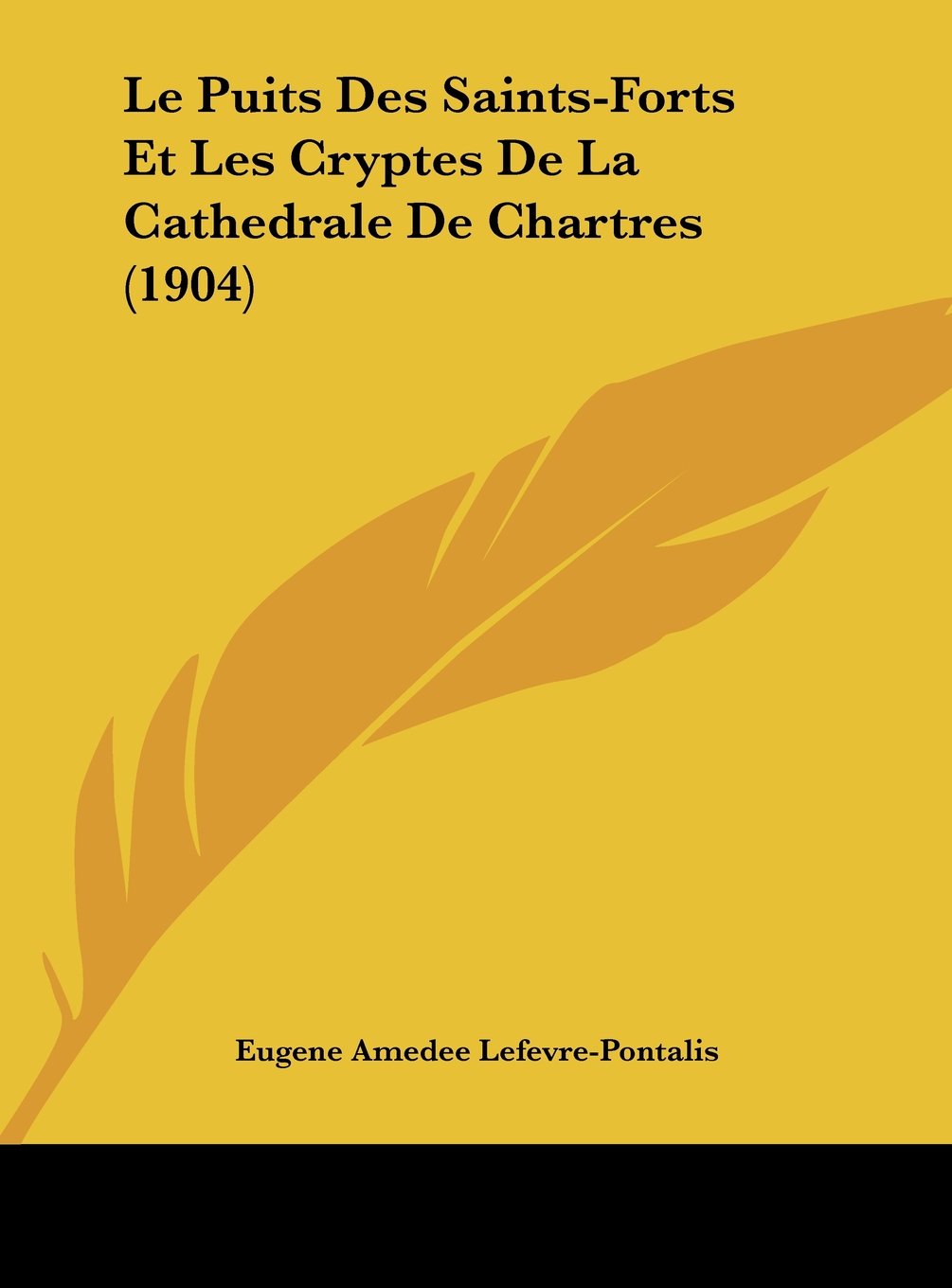 Le Puits Des Saints-Forts Et Les Cryptes de La Cathedrale de Chartres (1904) Contemporary literature