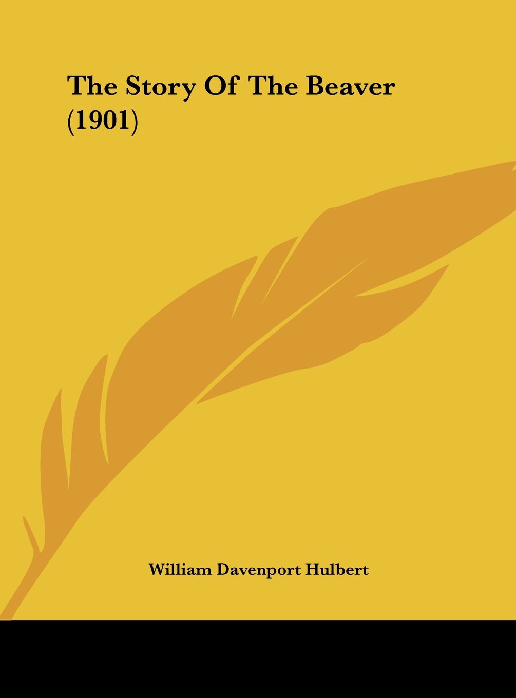 The Story Of The Beaver (1901) Memories