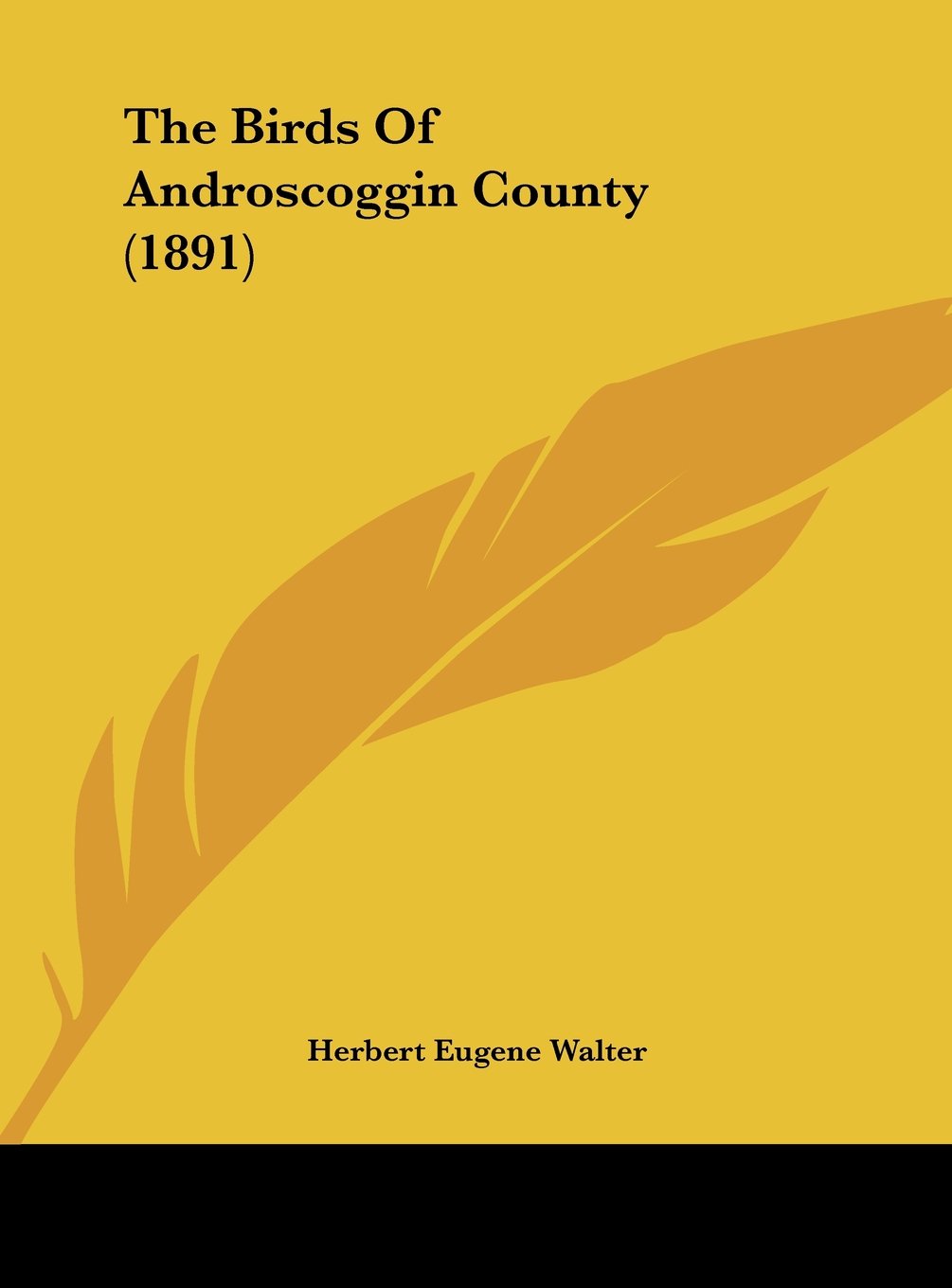 The Birds Of Androscoggin County (1891) Contemporary literature