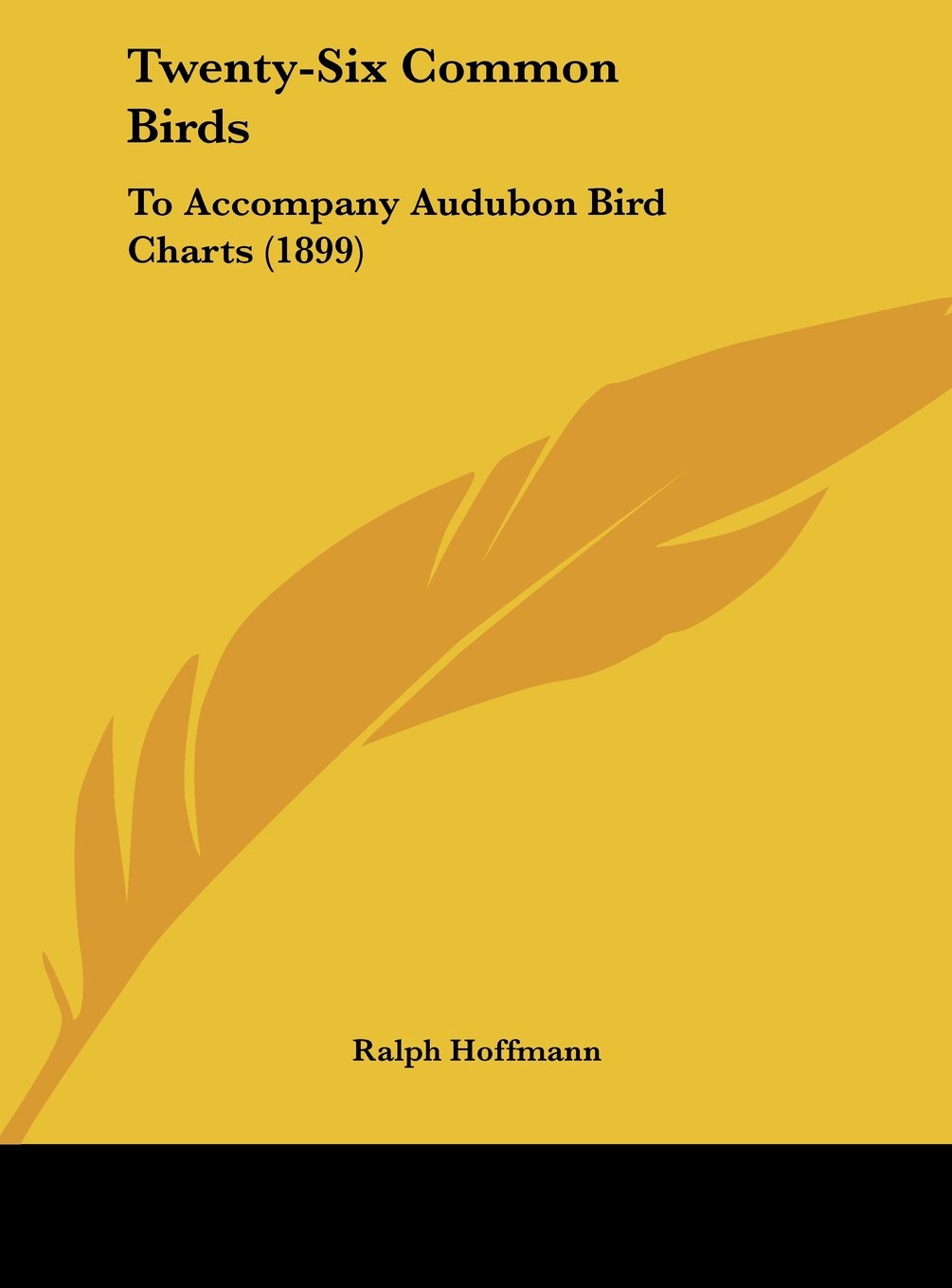 Twenty-Six Common Birds: To Accompany Audubon Bird Charts (1899) Contemporary literature