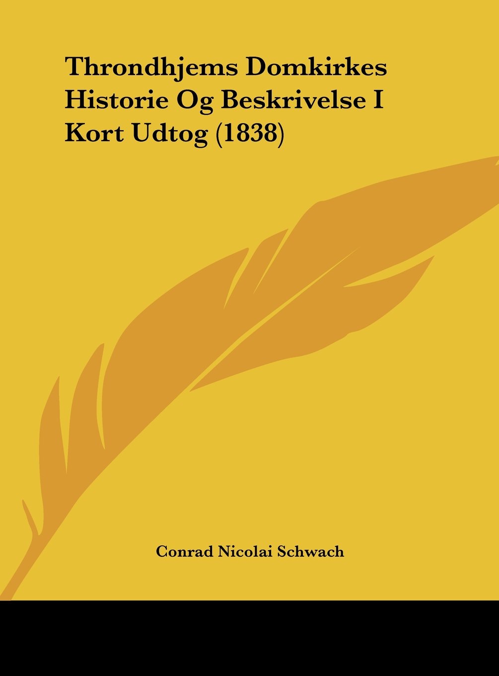 Throndhjems Domkirkes Historie Og Beskrivelse I Kort Udtog (1838) Contemporary literature