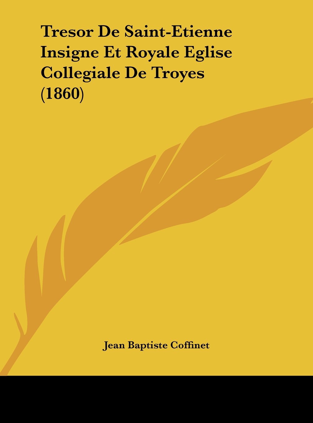Tresor De Saint-Etienne Insigne Et Royale Eglise Collegiale De Troyes (1860) Contemporary literature