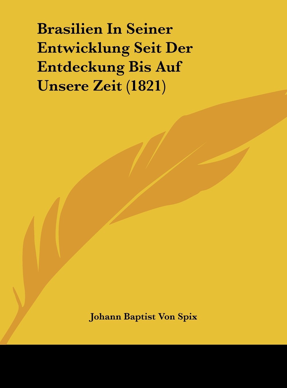 Brasilien In Seiner Entwicklung Seit Der Entdeckung Bis Auf Unsere Zeit (1821) Contemporary literature