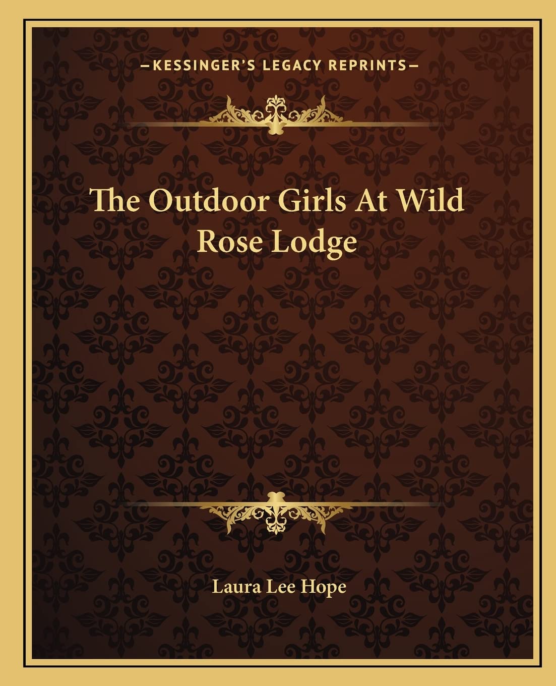 The Outdoor Girls At Wild Rose Lodge Contemporary literature