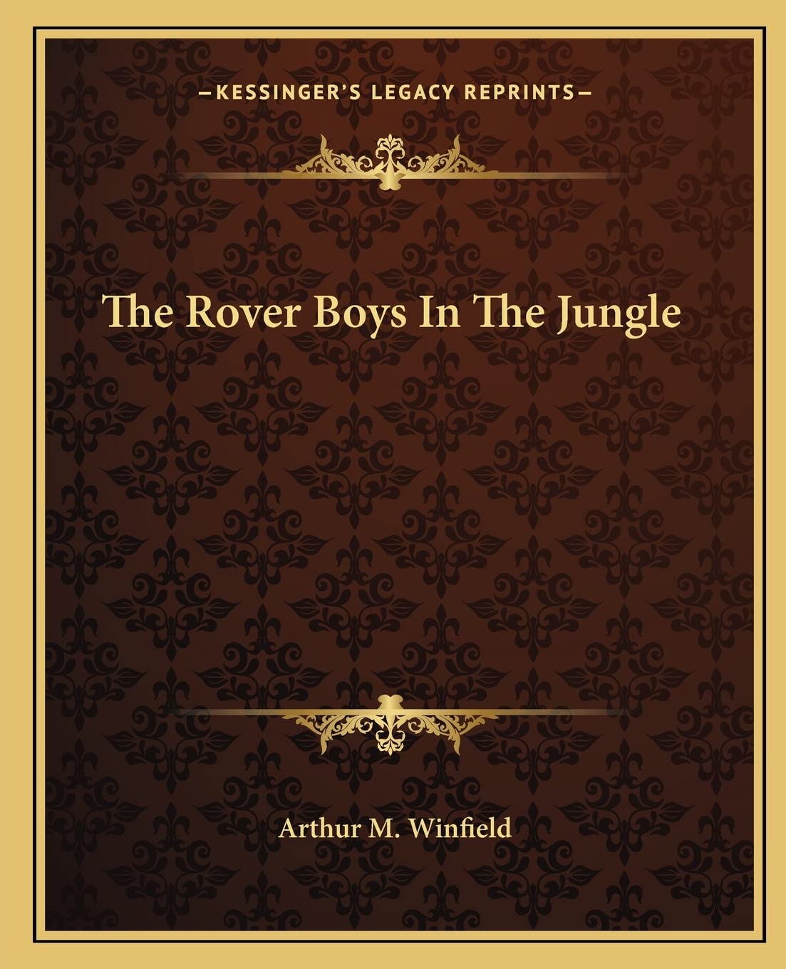 The Rover Boys In The Jungle Contemporary literature