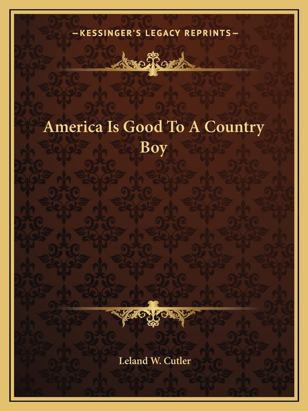 America Is Good To A Country Boy Contemporary literature