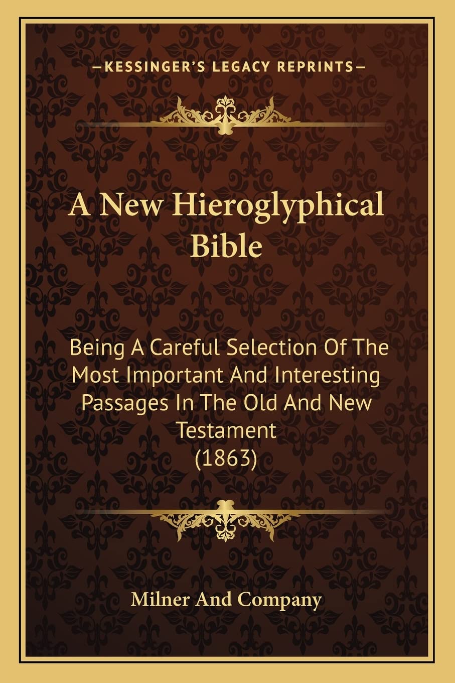 A New Hieroglyphical Bible: Being A Careful Selection Of The Most Important And Interesting Passages In The Old And New Testament (1863) Contemporary literature Books