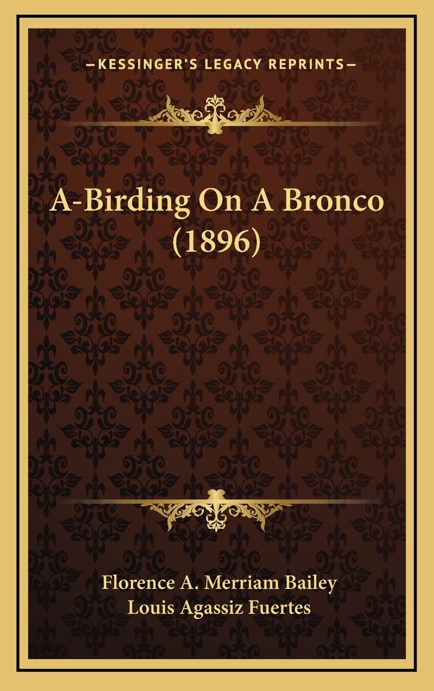 Product Image: A-Birding On A Bronco (1896)