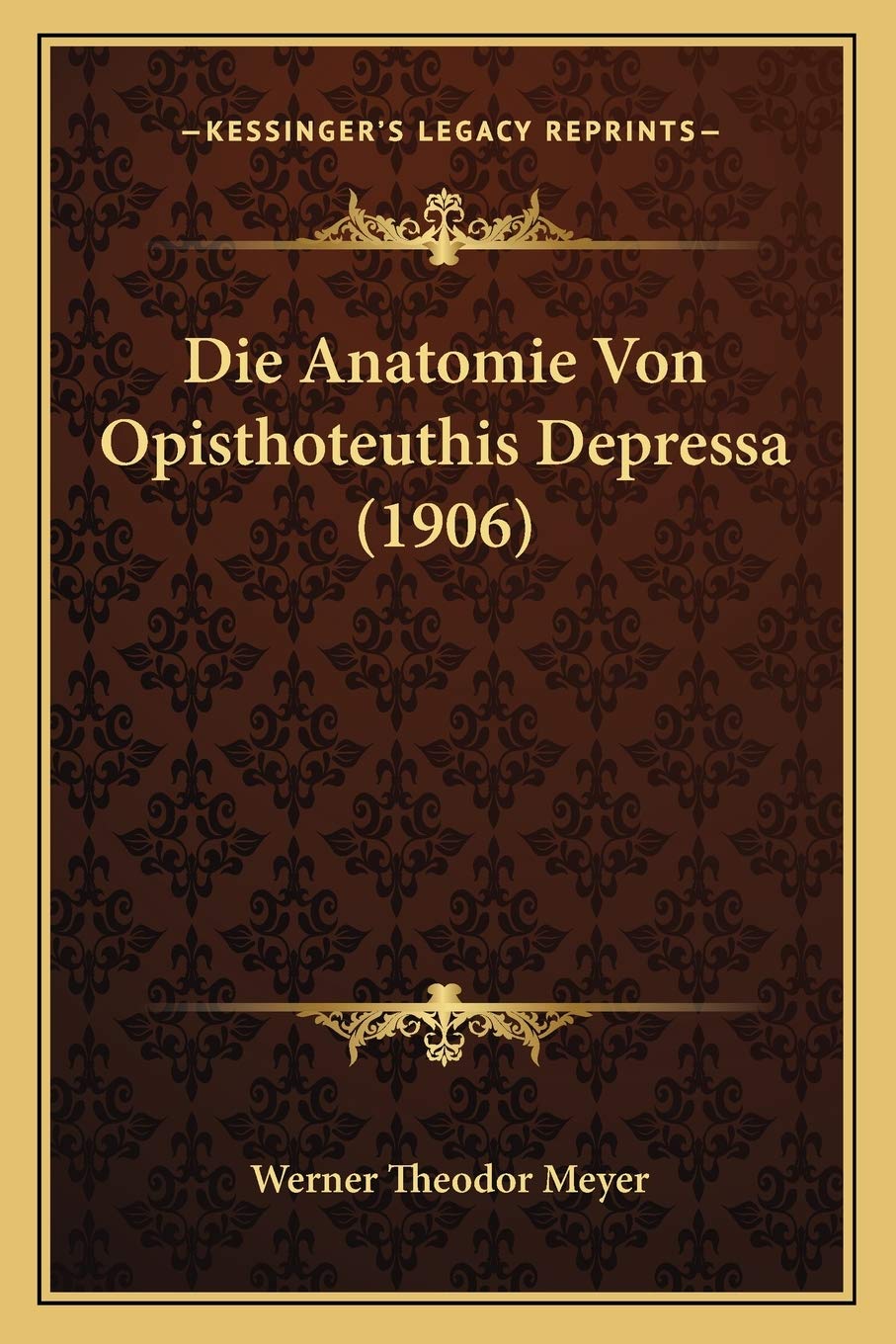 Die Anatomie Von Opisthoteuthis Depressa (1906) International