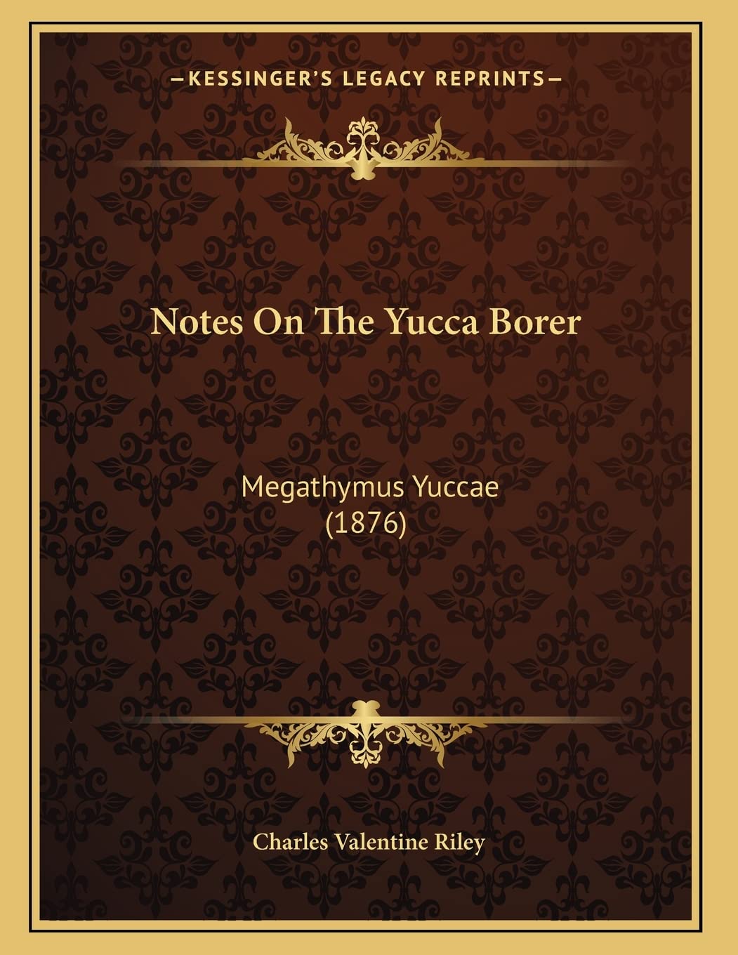 Notes On The Yucca Borer: Megathymus Yuccae (1876) Essays & Short Stories