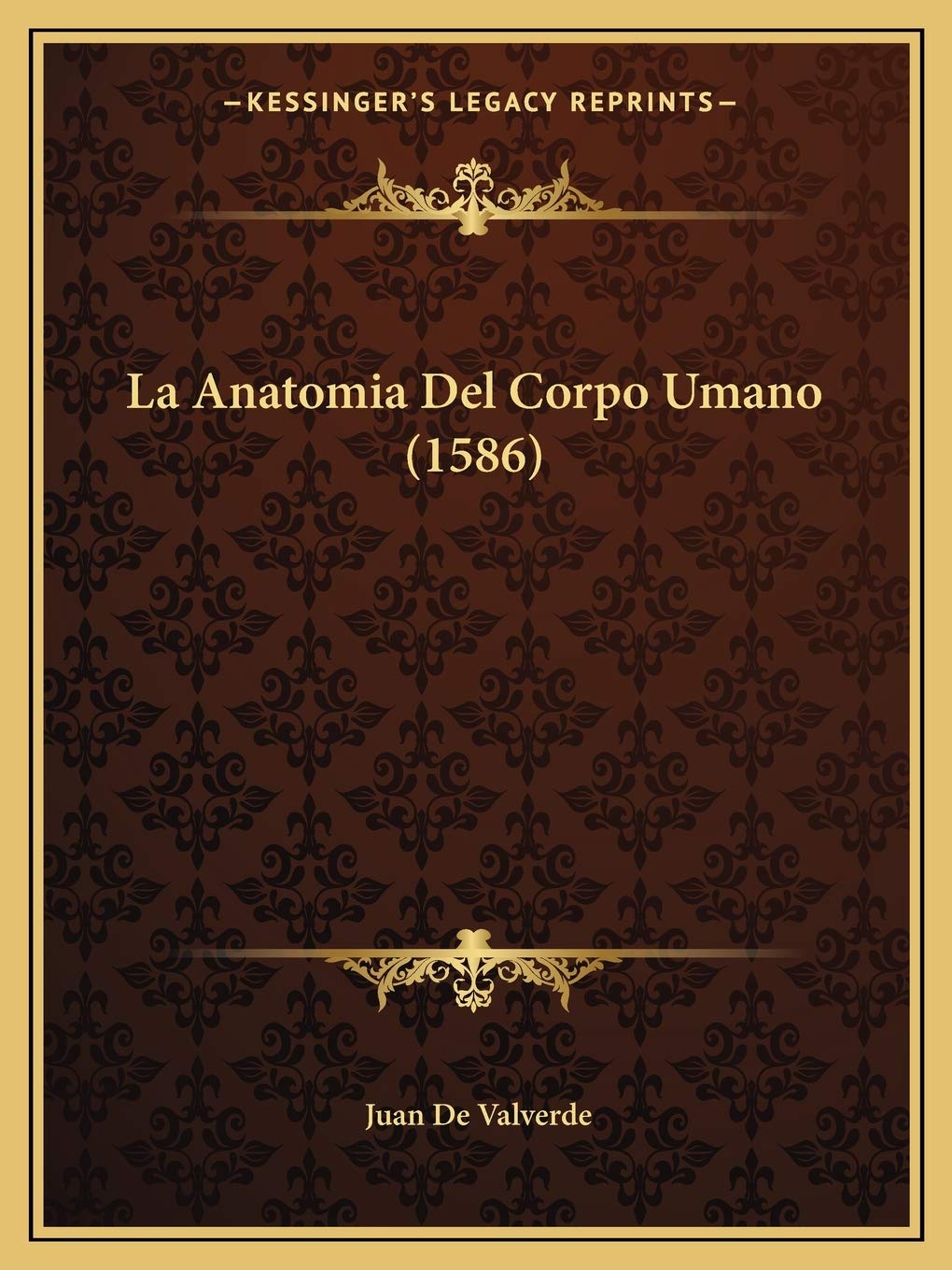 La Anatomia Del Corpo Umano (1586) Contemporary literature