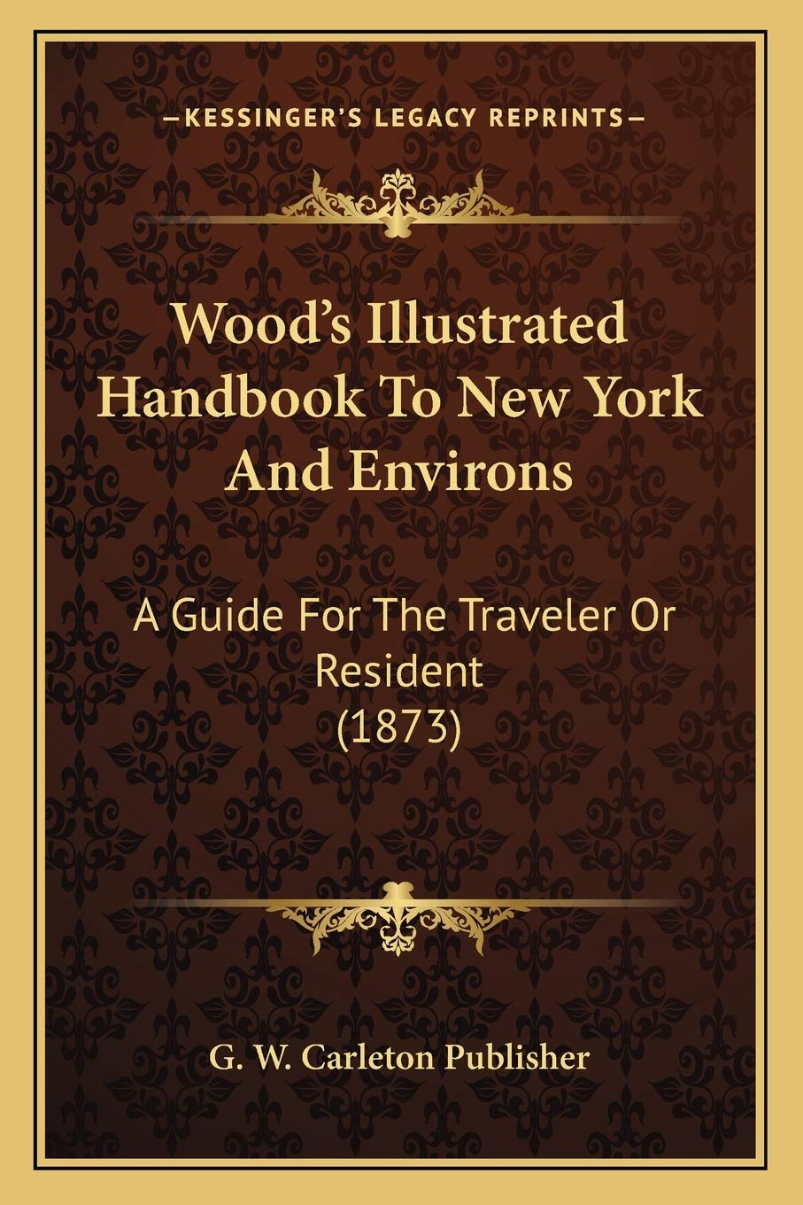Wood's Illustrated Handbook To New York And Environs: A Guide For The Traveler Or Resident (1873) Contemporary literature Books