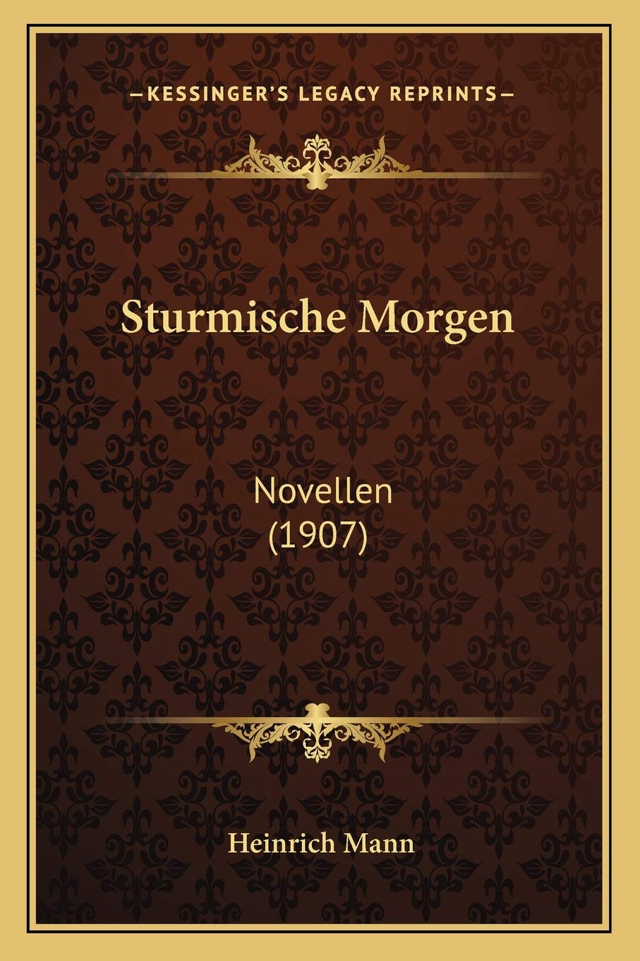 Sturmische Morgen: Novellen (1907) International