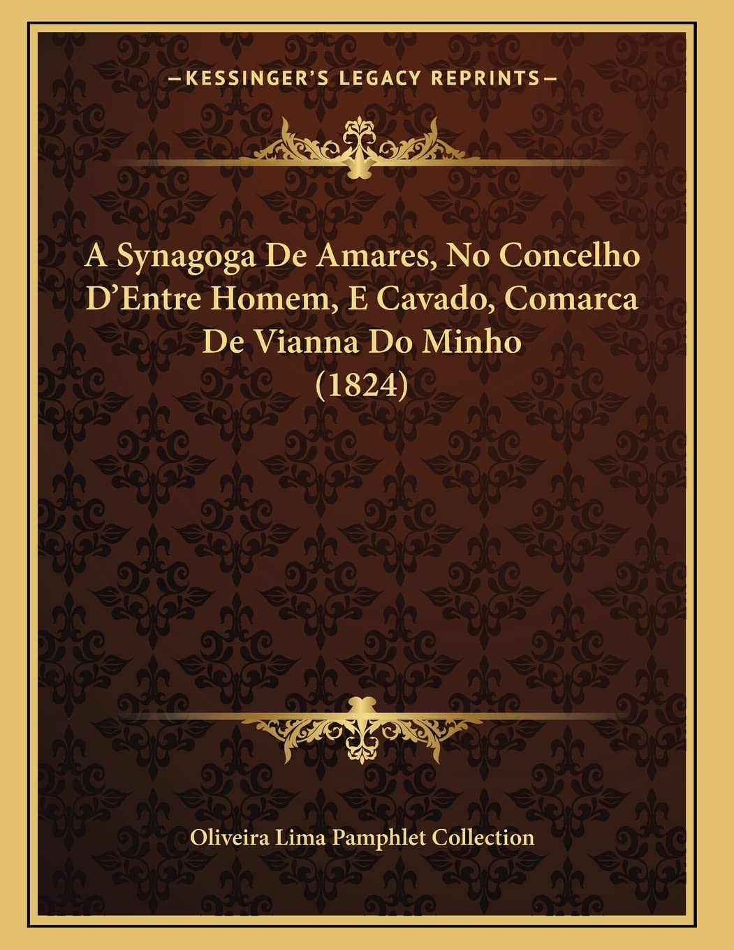 A Synagoga De Amares, No Concelho D'Entre Homem, E Cavado, Comarca De Vianna Do Minho (1824) Contemporary literature