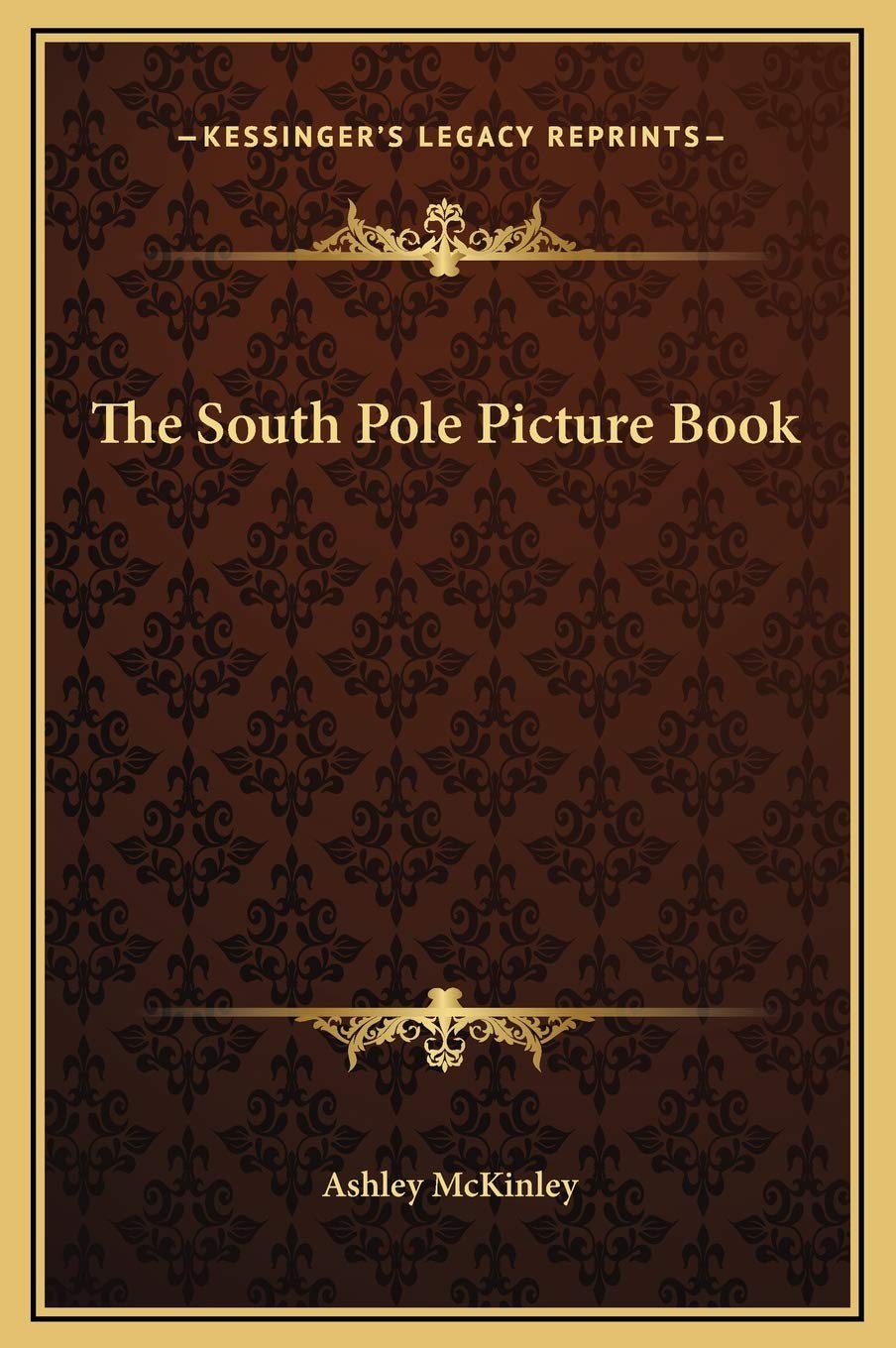 The South Pole Picture Book Contemporary literature