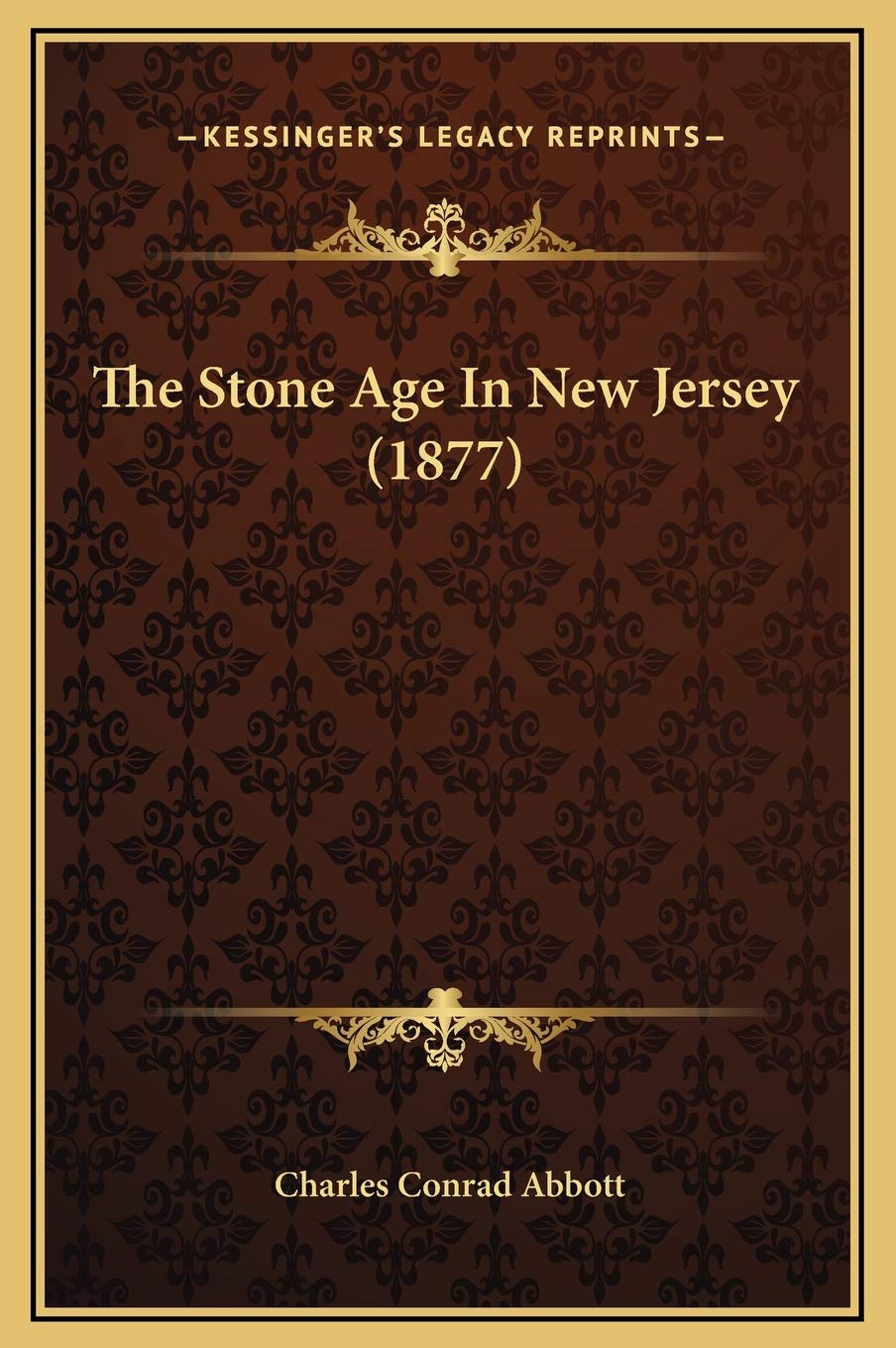 The Stone Age In New Jersey (1877) Contemporary literature