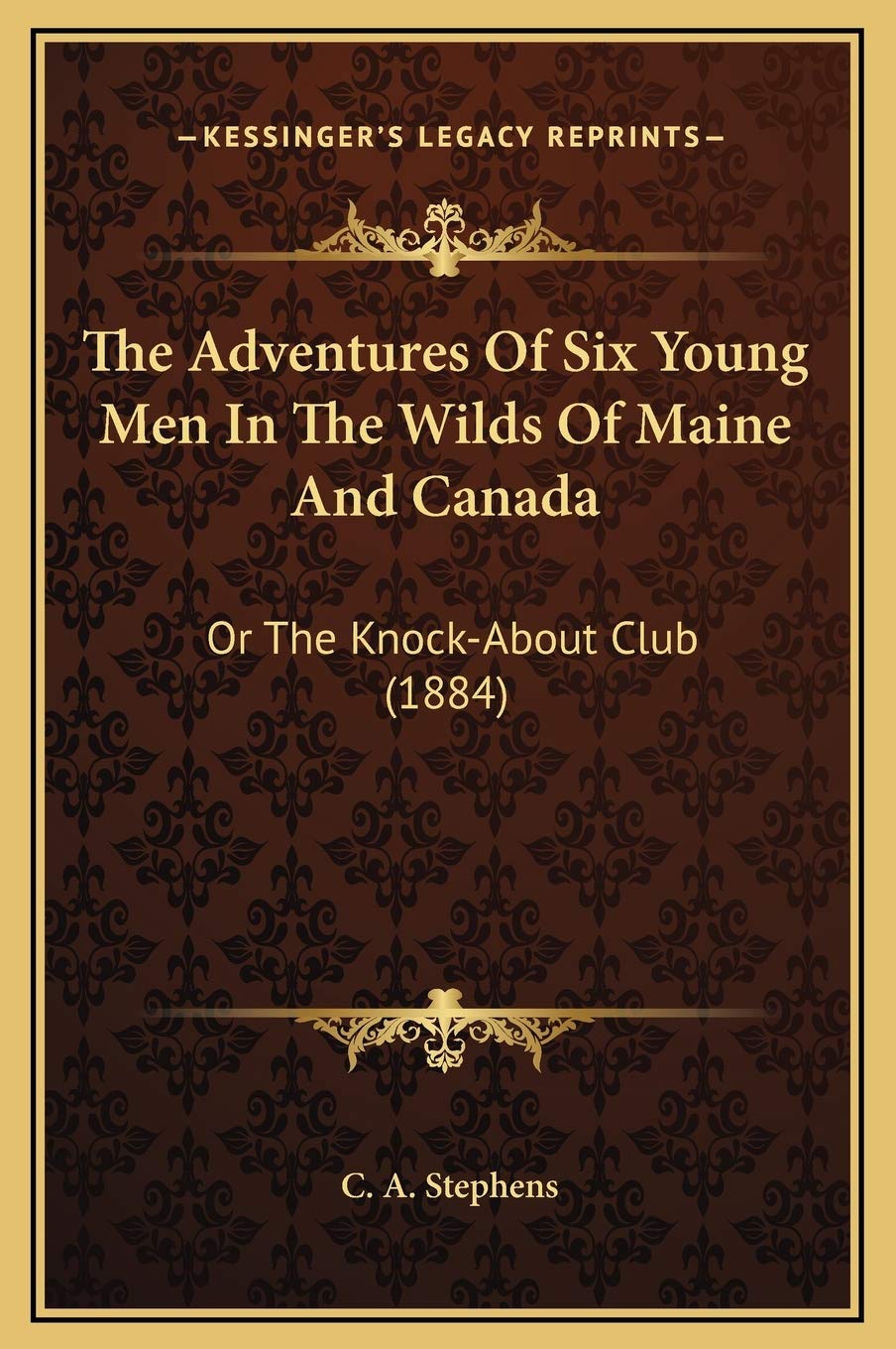 The Adventures Of Six Young Men In The Wilds Of Maine And Canada: Or The Knock-About Club (1884) Contemporary literature Books