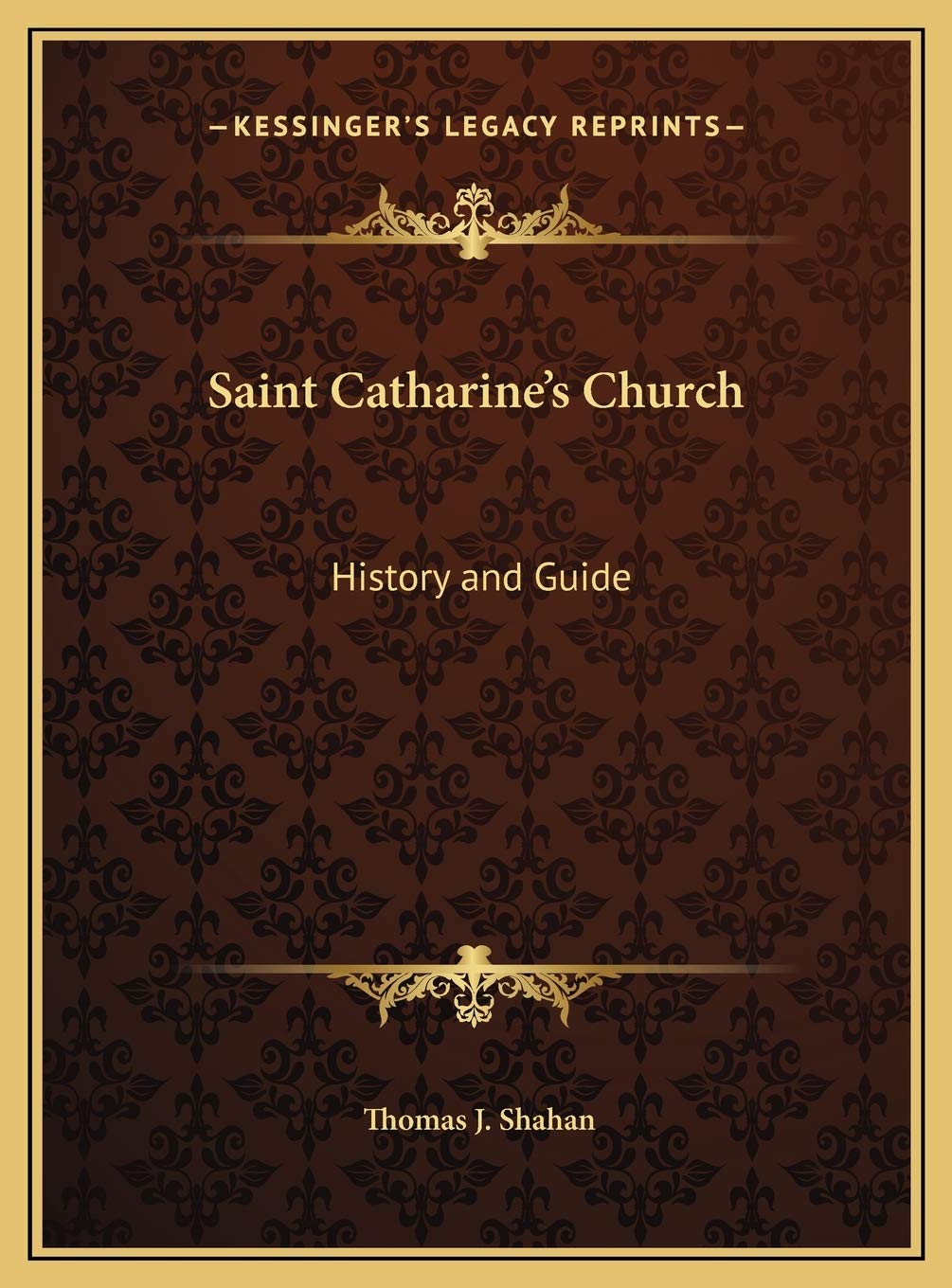 Saint Catharine's Church: History and Guide Politics & History