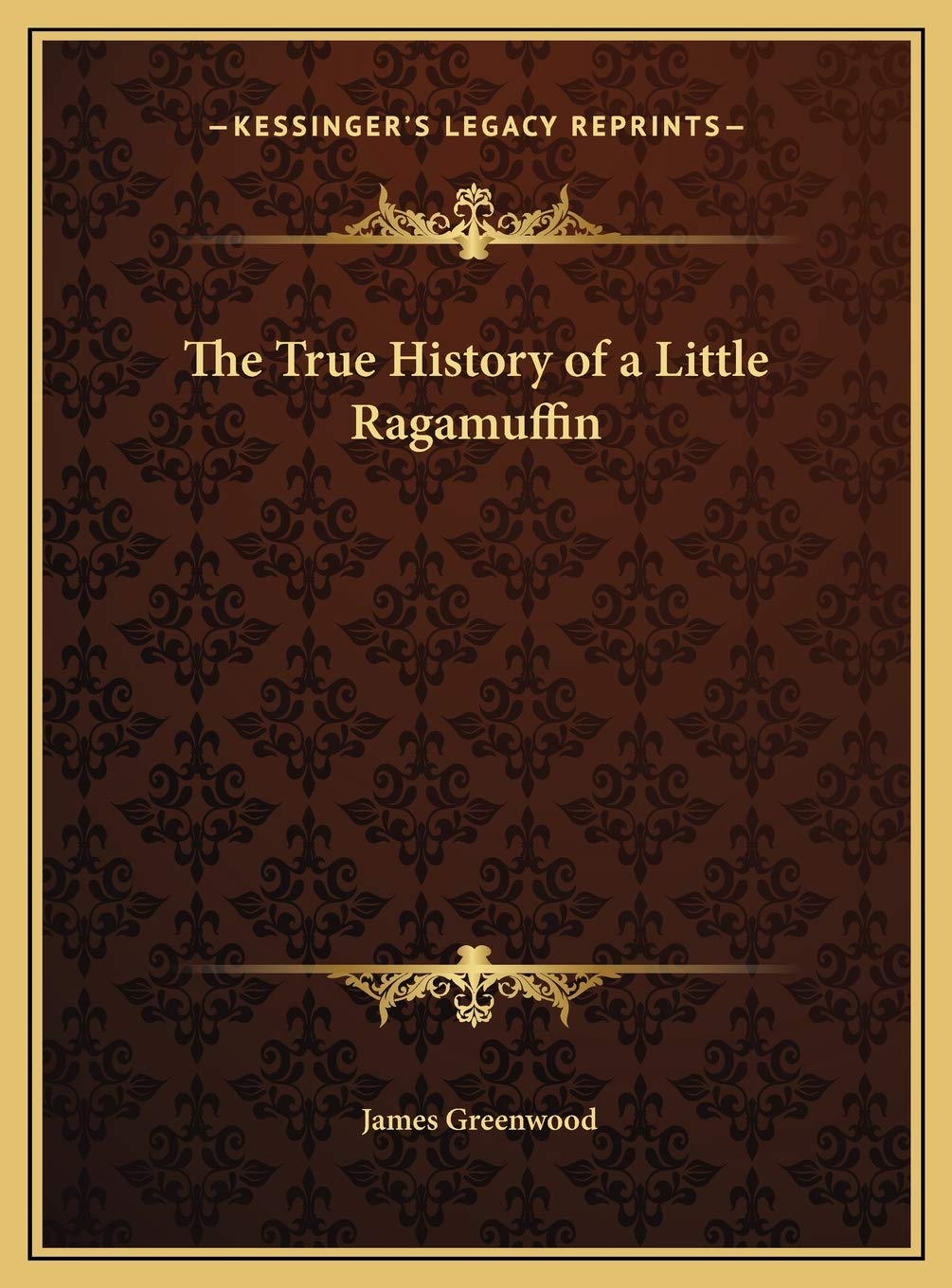 The True History of a Little Ragamuffin Politics & History