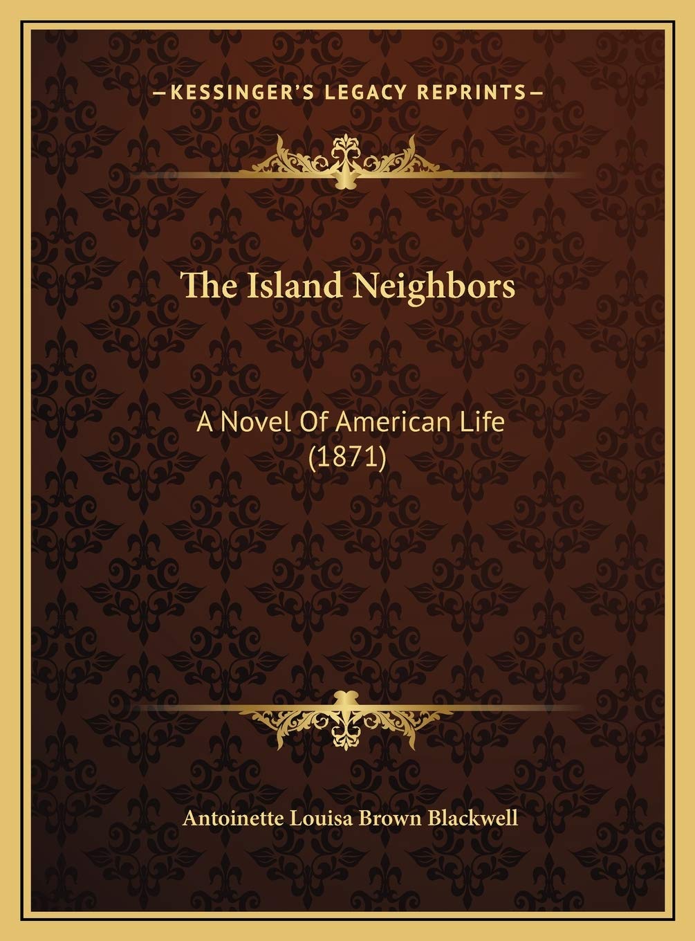 The Island Neighbors: A Novel Of American Life (1871) Contemporary literature Books