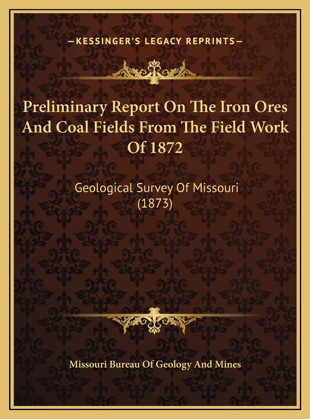 Preliminary Report On The Iron Ores And Coal Fields From The Field Work Of 1872: Geological Survey Of Missouri (1873) Contemporary literature Books