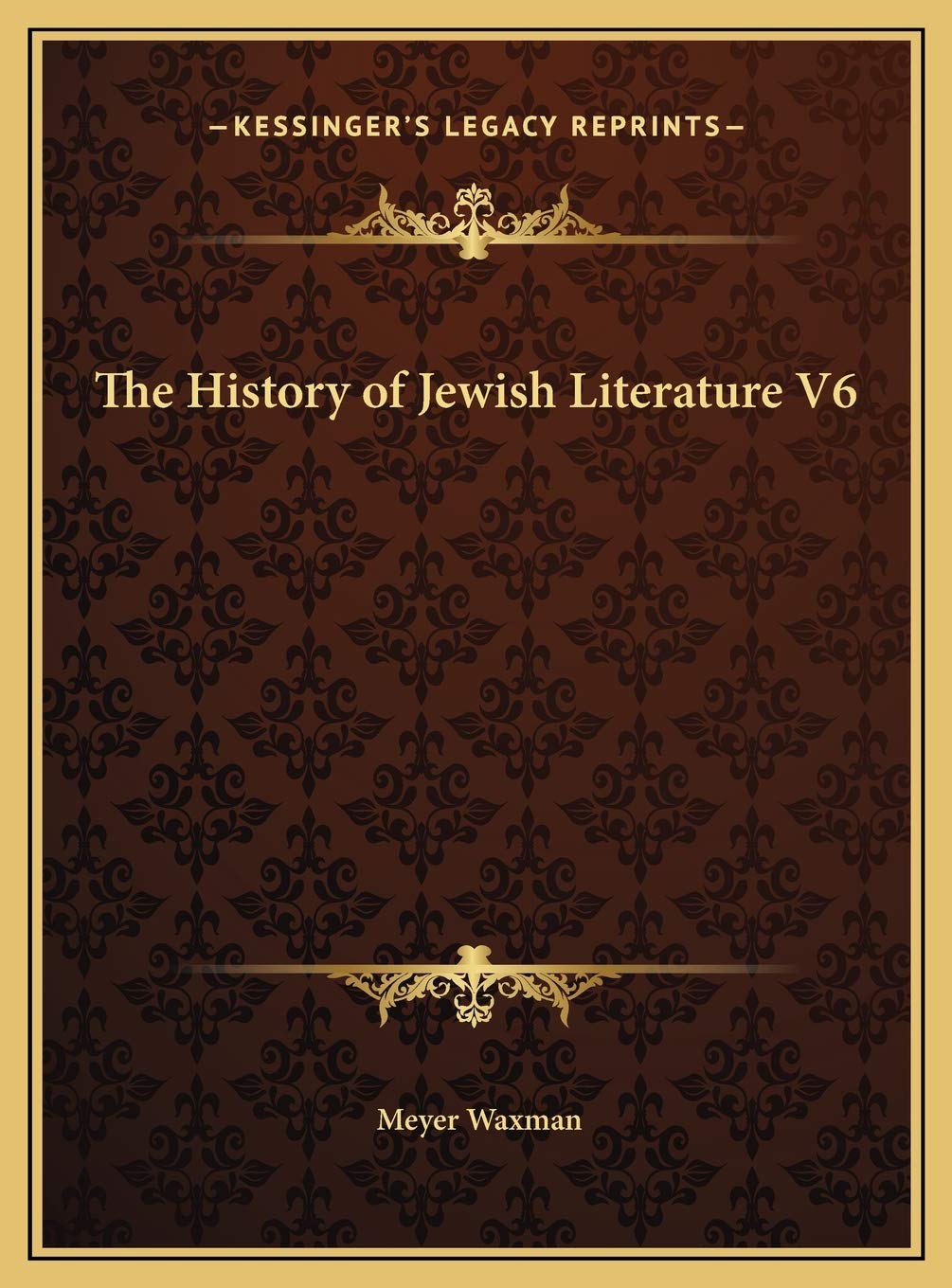 The History of Jewish Literature V6 Philosophy