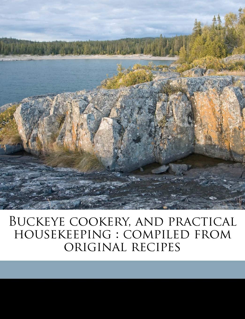 Buckeye Cookery, and Practical Housekeeping: Compiled from Original Recipes Politics & History