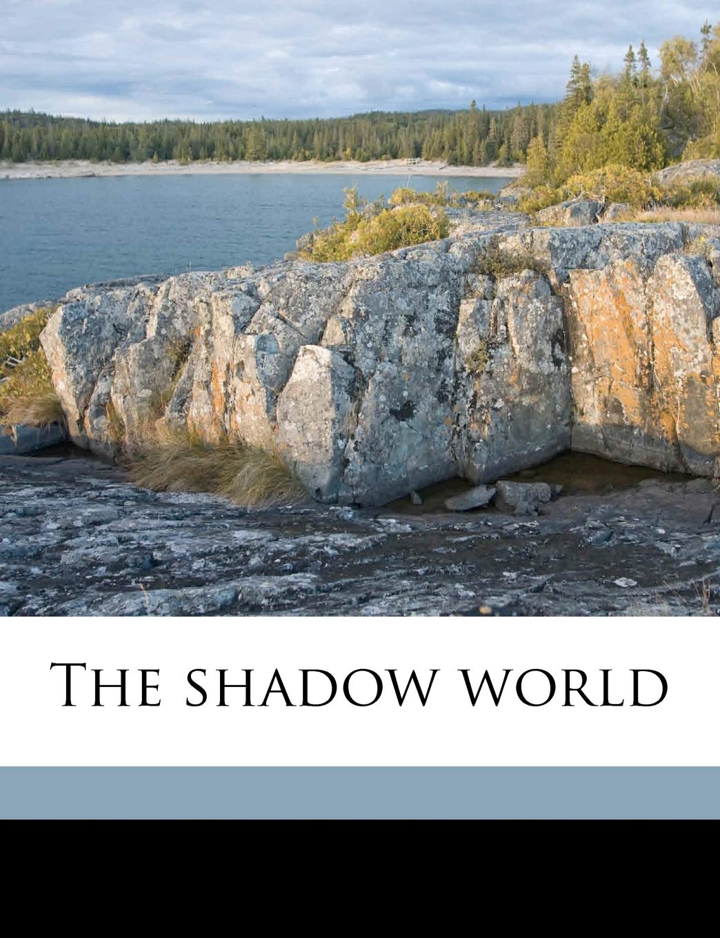 Product Image: The Shadow World