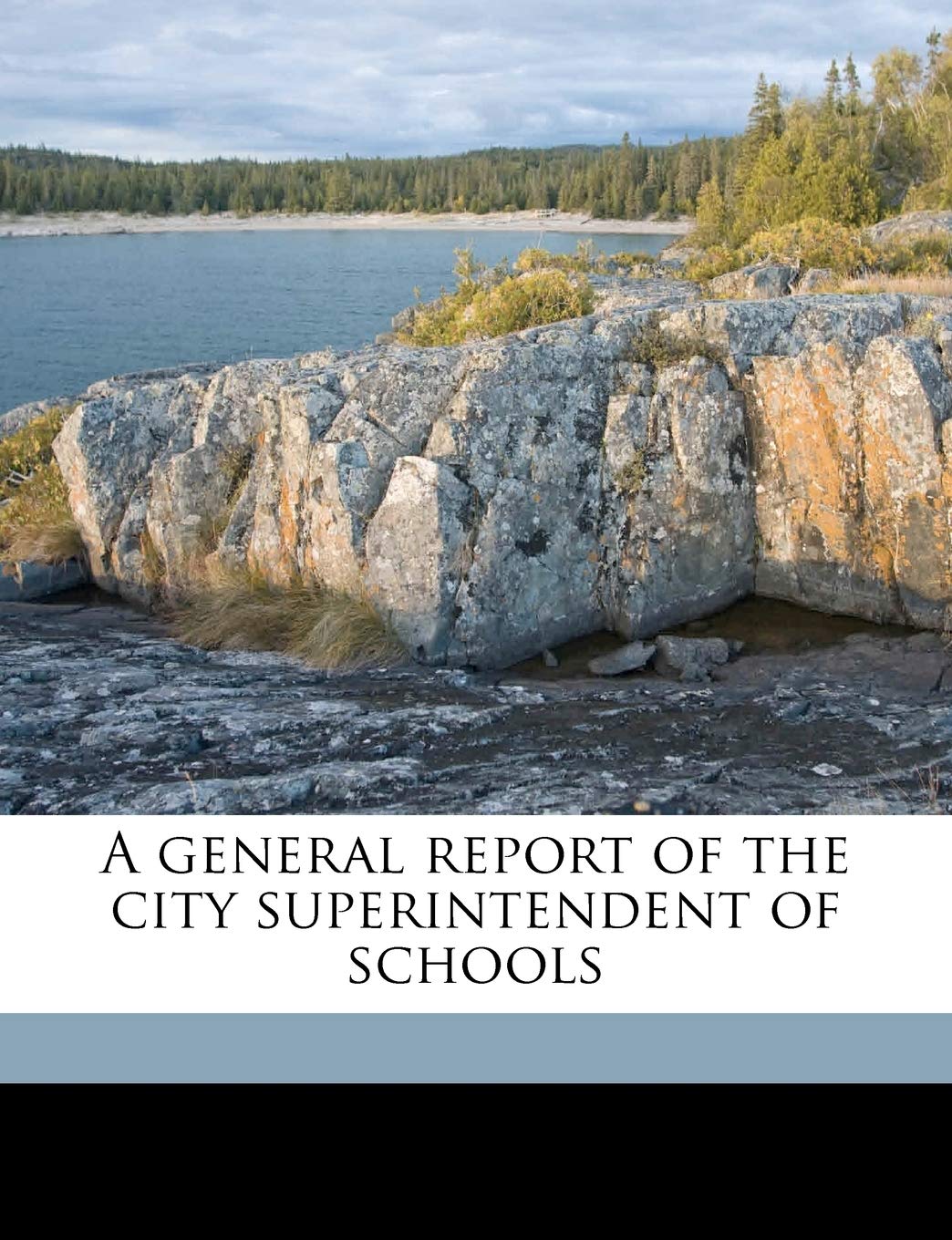 A General Report of the City Superintendent of Schools Politics & History