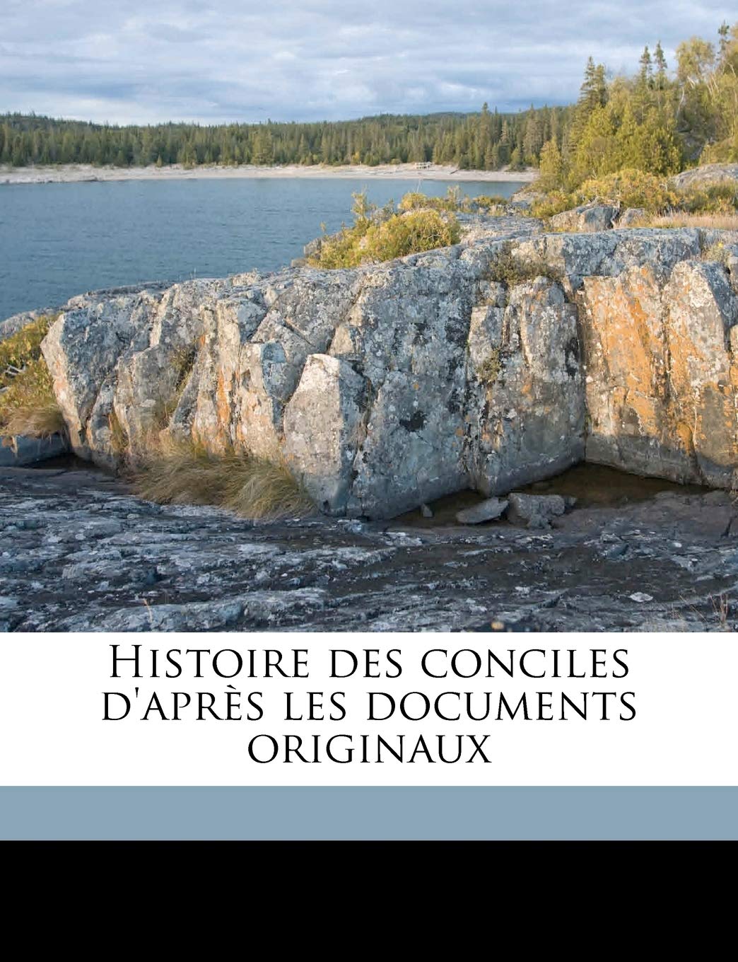 Histoire des conciles d'après les documents originaux Volume 6, Pt. 1 book