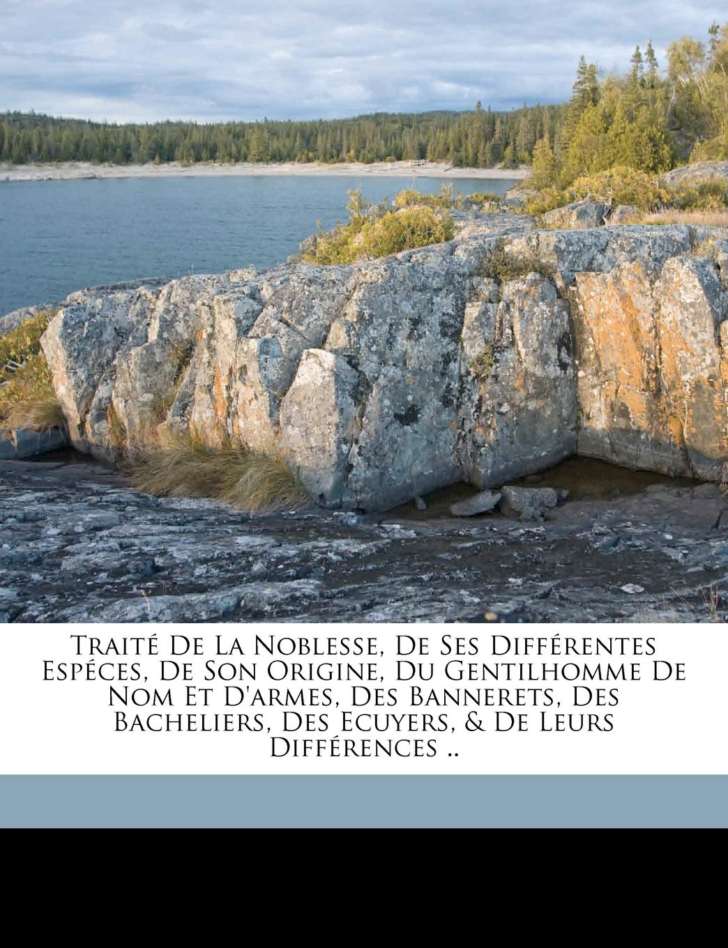 Traité de la noblesse, de ses différentes espéces, de son origine, du gentilhomme de nom et d'armes, des bannerets, des bacheliers, des ecuyers, & de leurs différences .. Politics & History