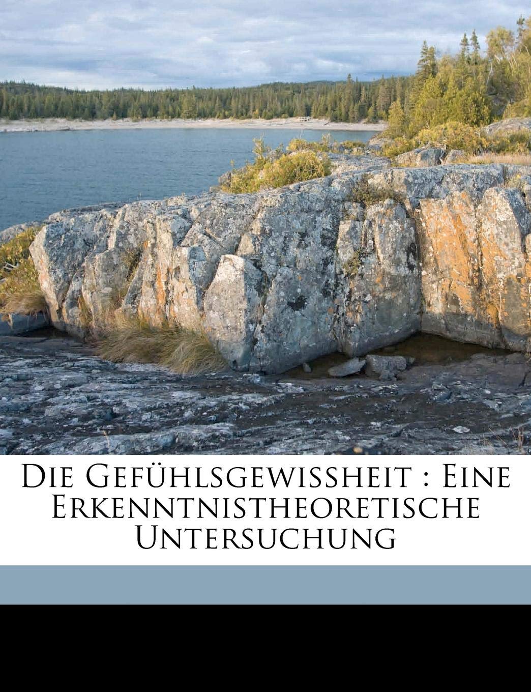 Die Gefuhlsgewissheit: Eine Erkenntnistheoretische Untersuchung Politics & History