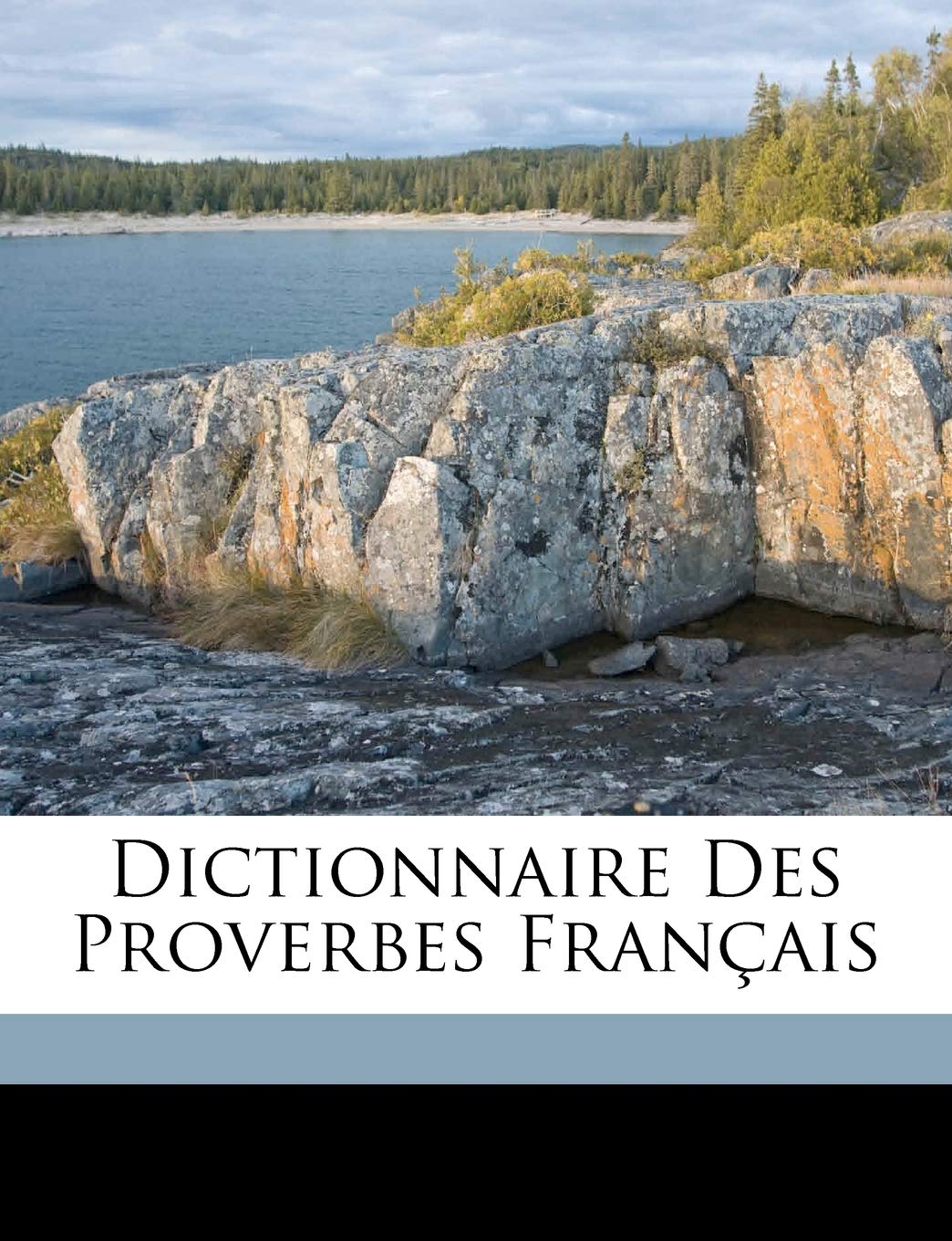 Dictionnaire des proverbes français Politics & History