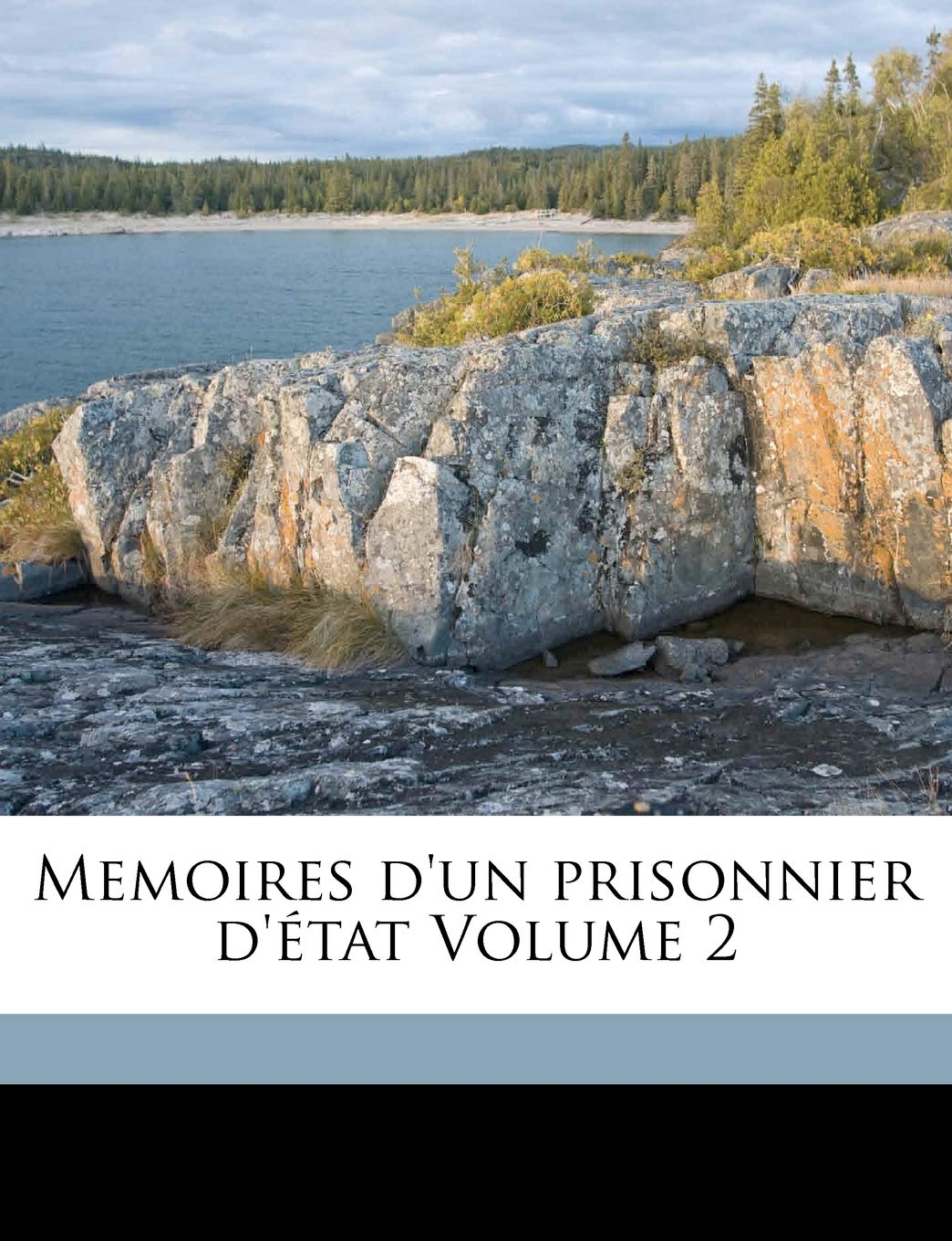 Memoires d'un prisonnier d'état Volume 2 Politics & History