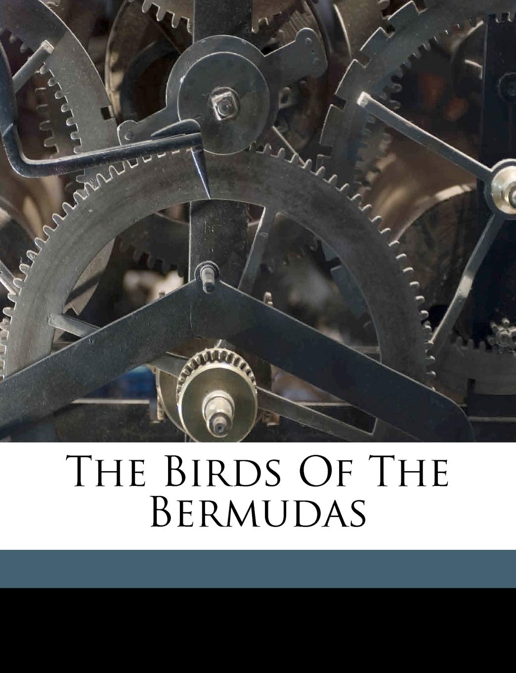 The Birds of the Bermudas Politics & History