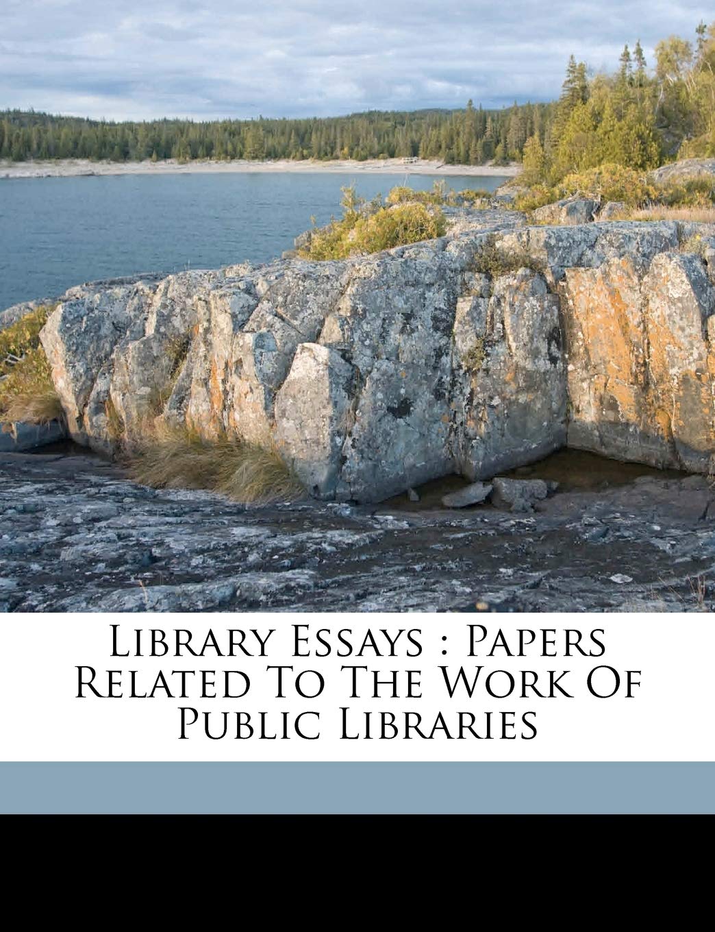 Library Essays: Papers Related to the Work of Public Libraries Politics & History