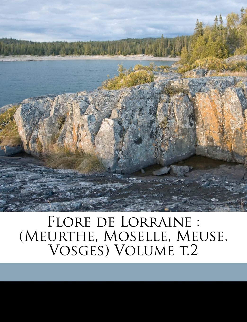 Flore de Lorraine: (Meurthe, Moselle, Meuse, Vosges) Volume t.2 Politics & History