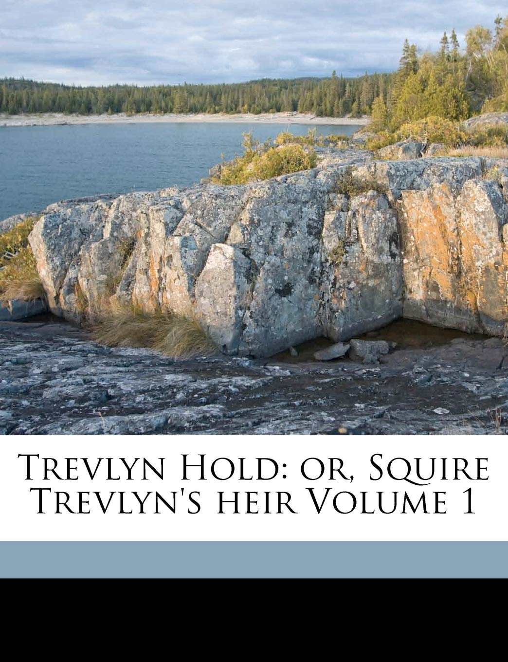 Trevlyn Hold: Or, Squire Trevlyn's Heir Volume 1 Politics & History