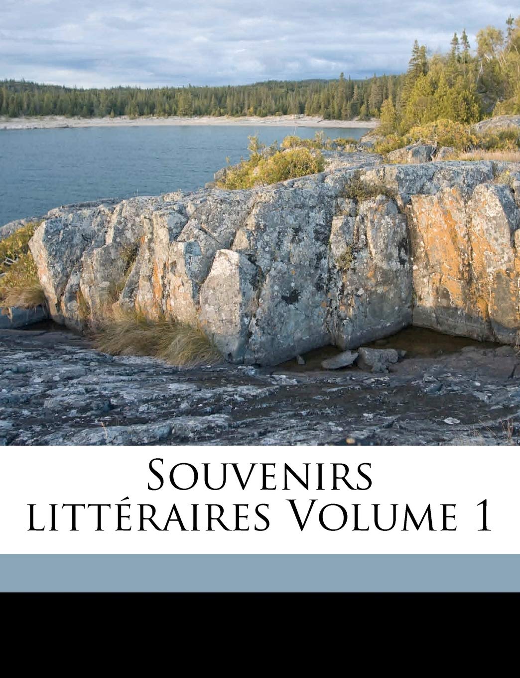 Souvenirs Littéraires Volume 1 Politics & History