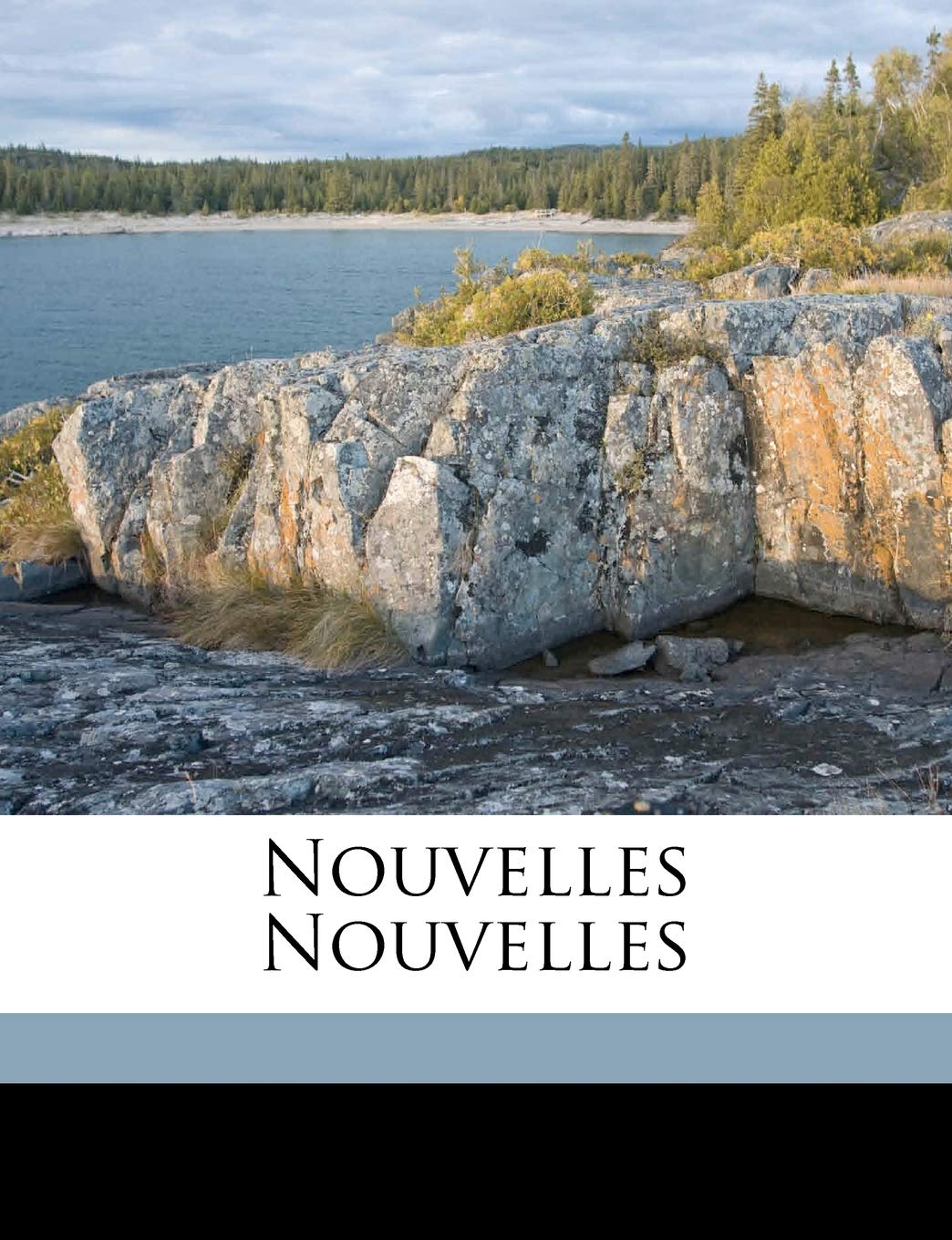 Nouvelles Nouvelles book